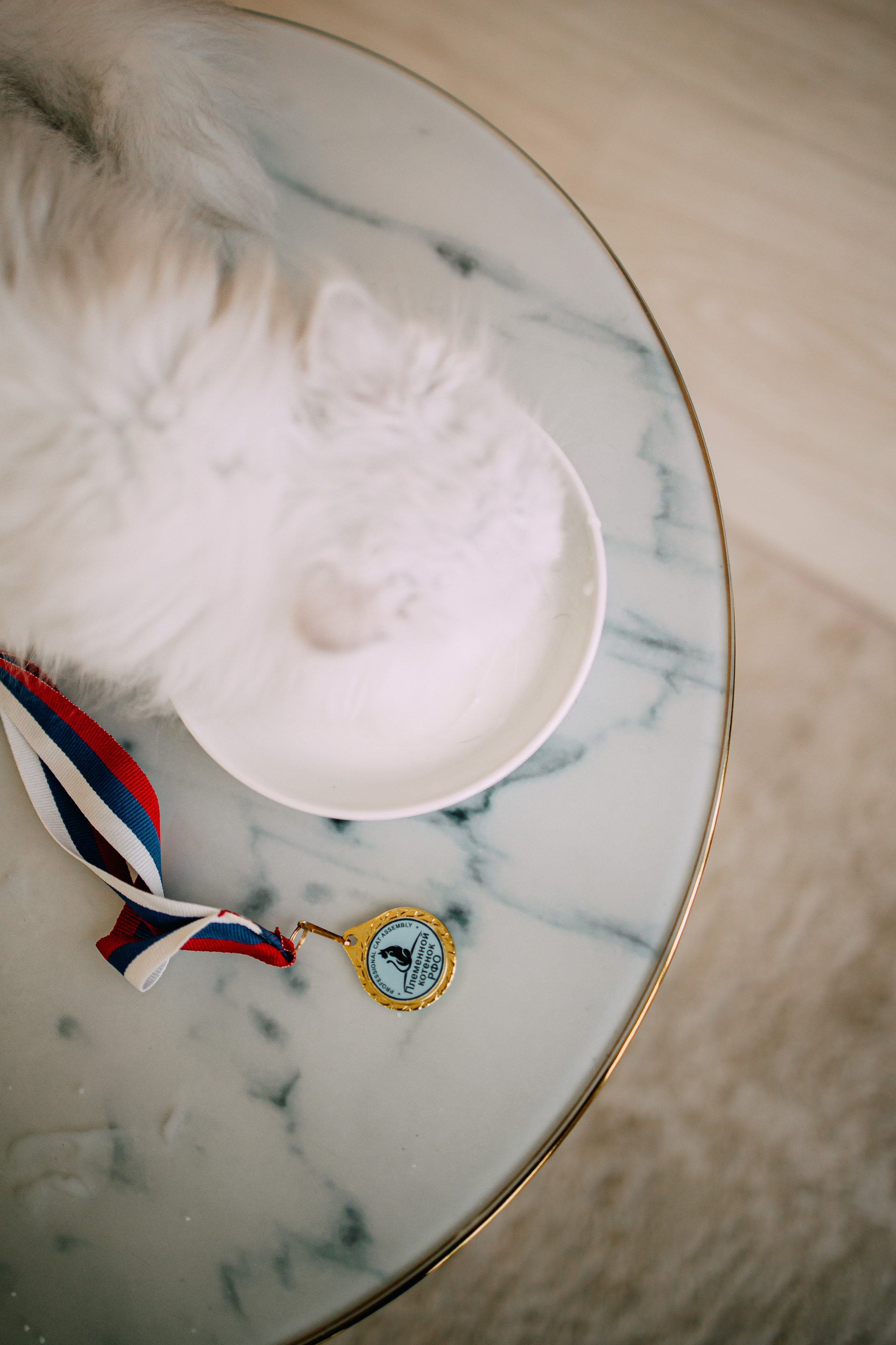 Султан, Мэй Мэй и Шанталь и их семья