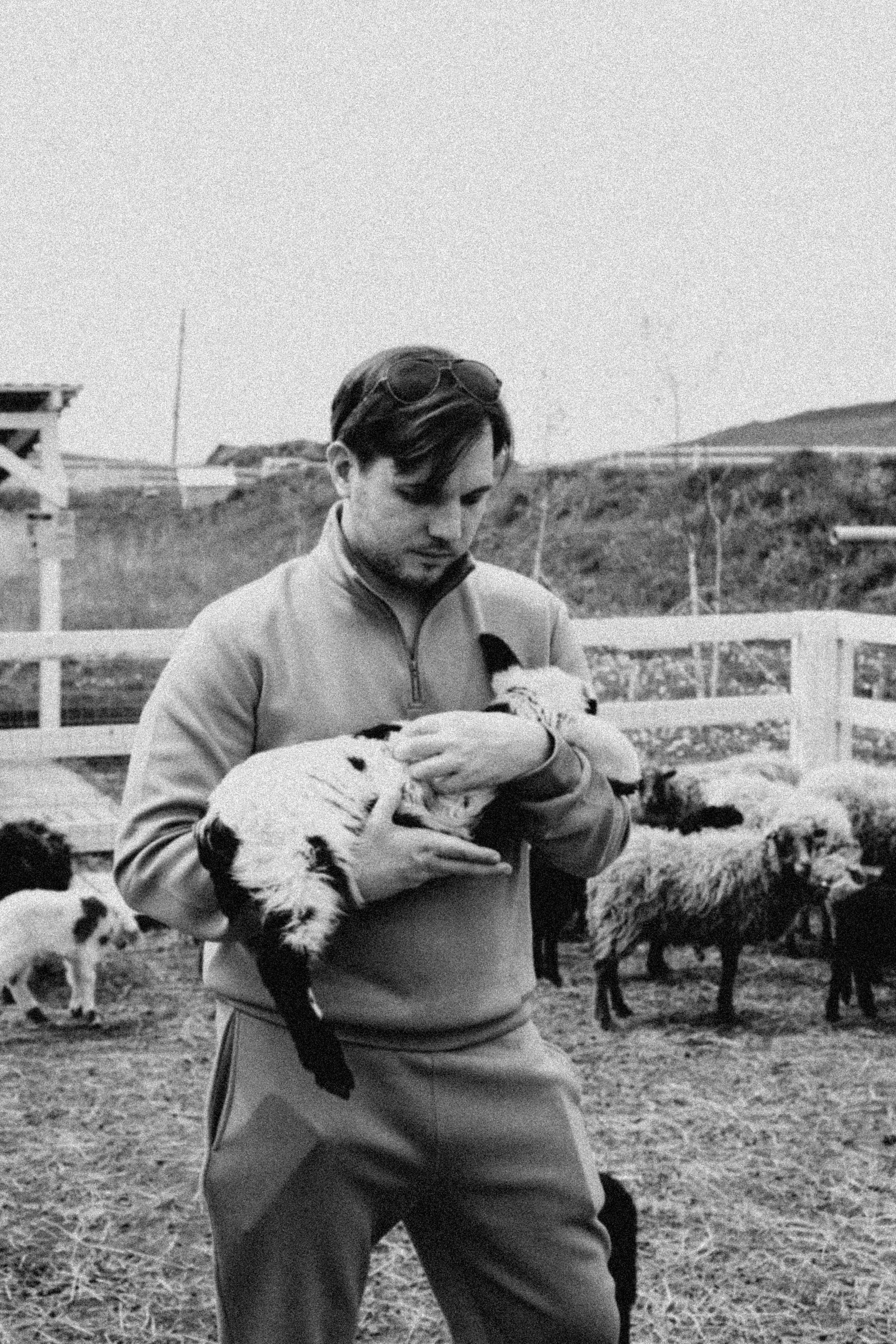 Ферма Альпак. Профессиональный фотограф, Санкт-Петербург — Виктория Богомолова