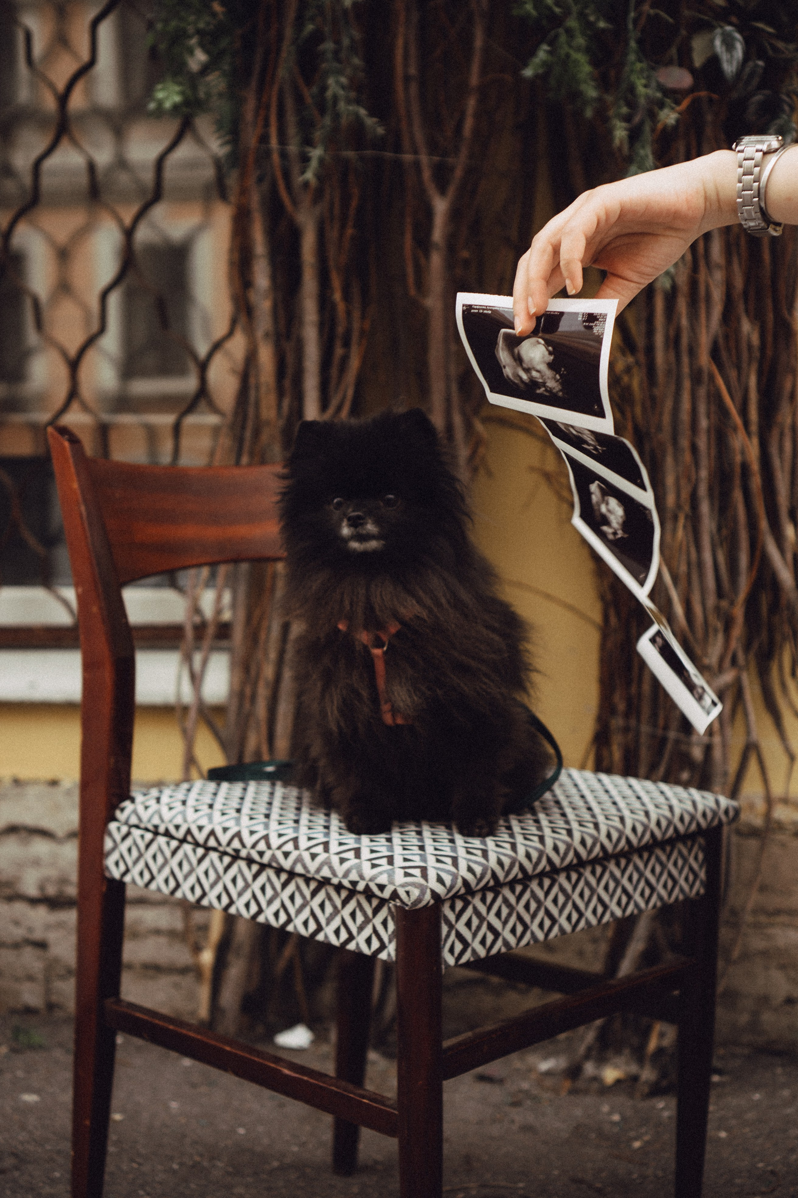 Беременность (только часть фото по желанию клиентов могу показать)). Профессиональный фотограф, Санкт-Петербург — Виктория Богомолова