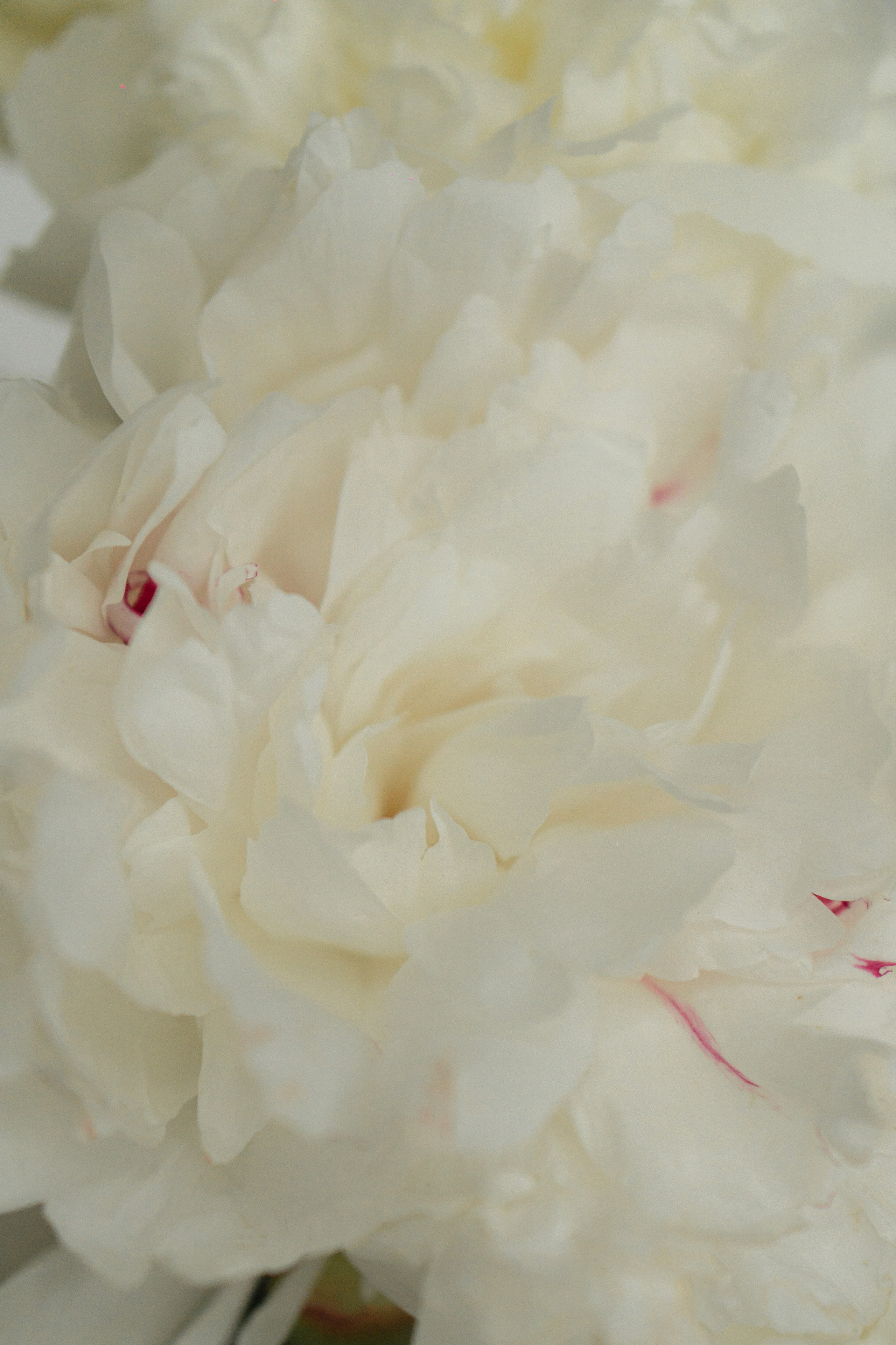 Воздух. Профессиональная видео и фото съёмка в Калуге и области