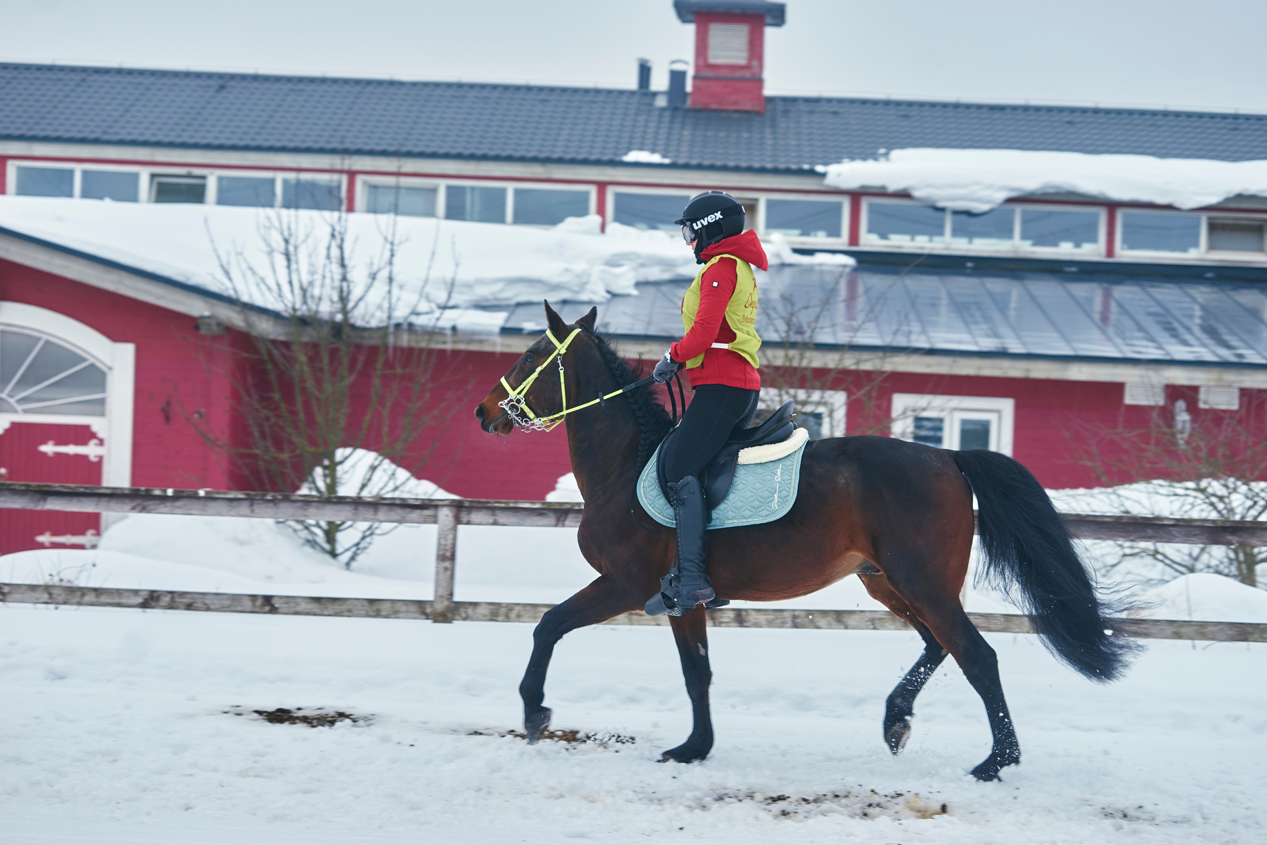 HORSE RACING. Фотограф Наталья Леонова