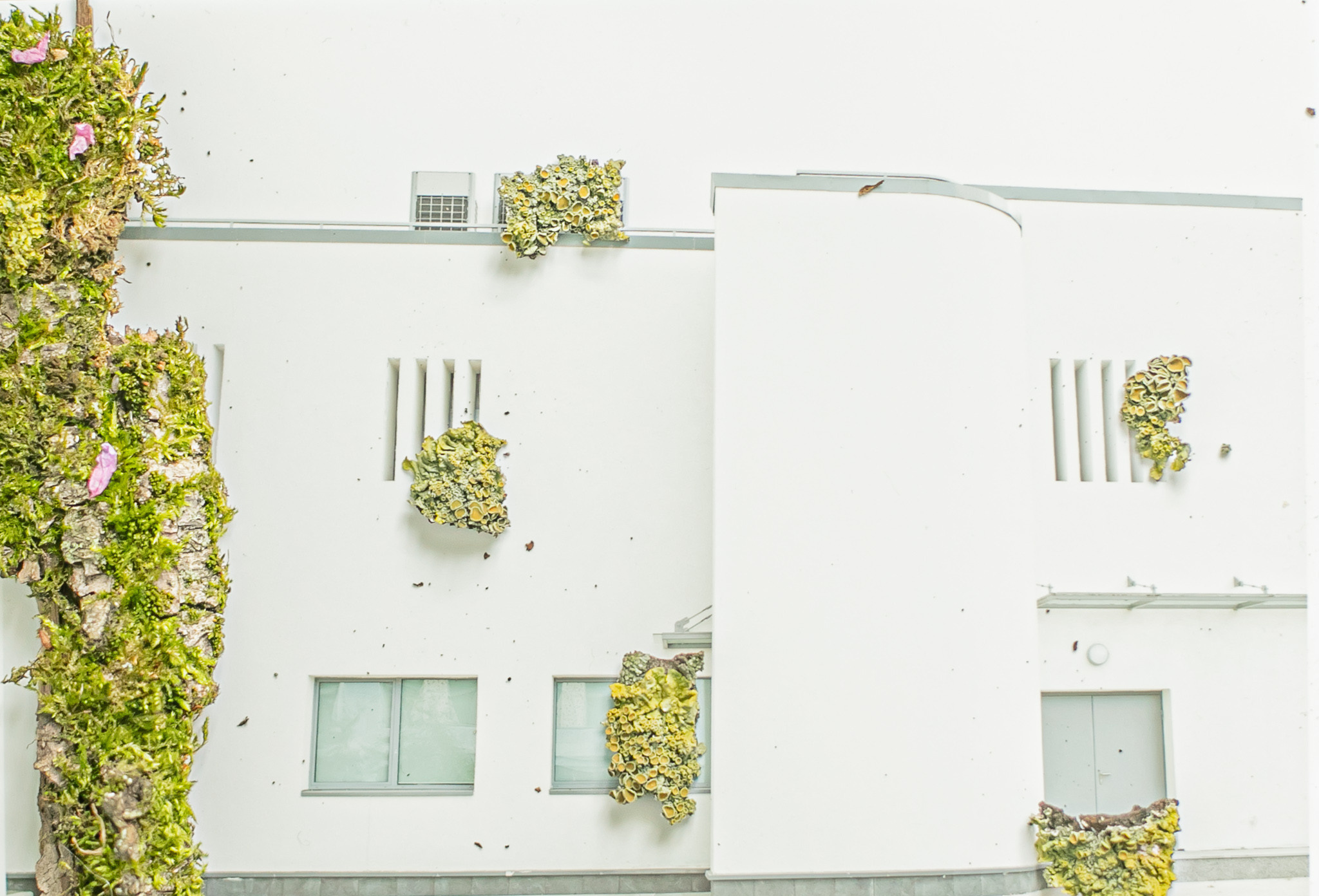 Симбиоз. Mixed-media Artist Irina Sokolova