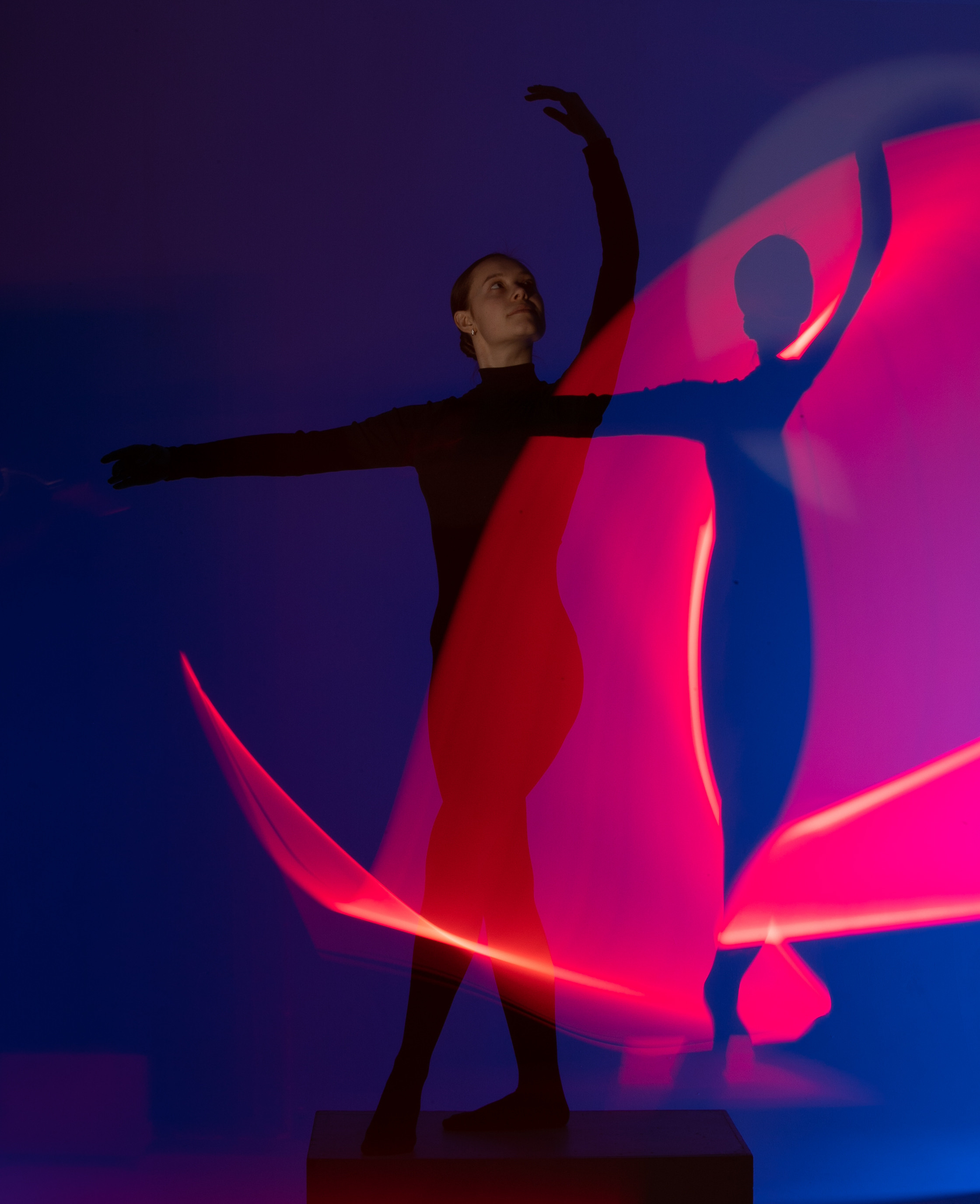 Portrait. Mixed-media Artist Irina Sokolova