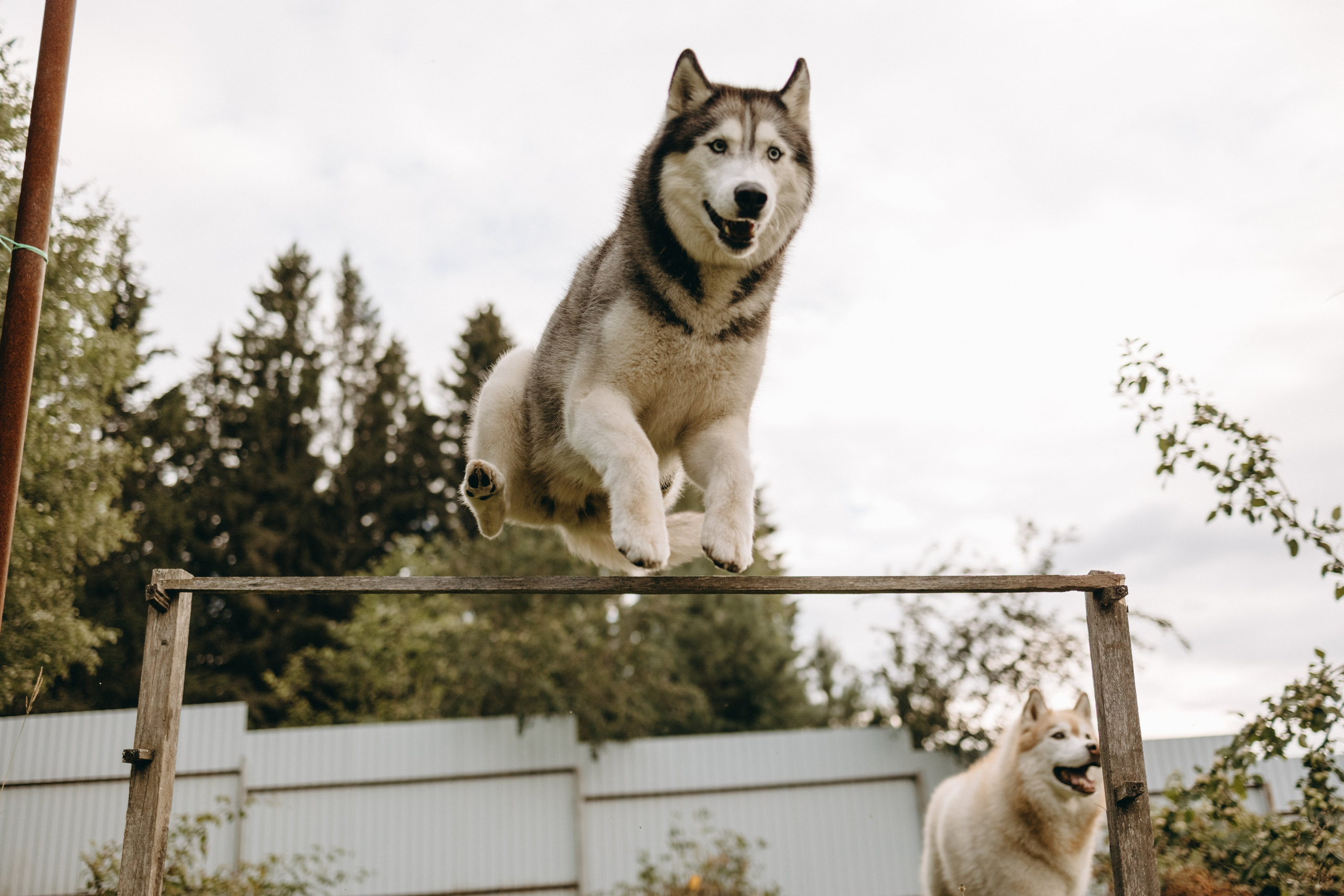 Дом у реки. Фотограф — Анималист | Санкт-Петербург