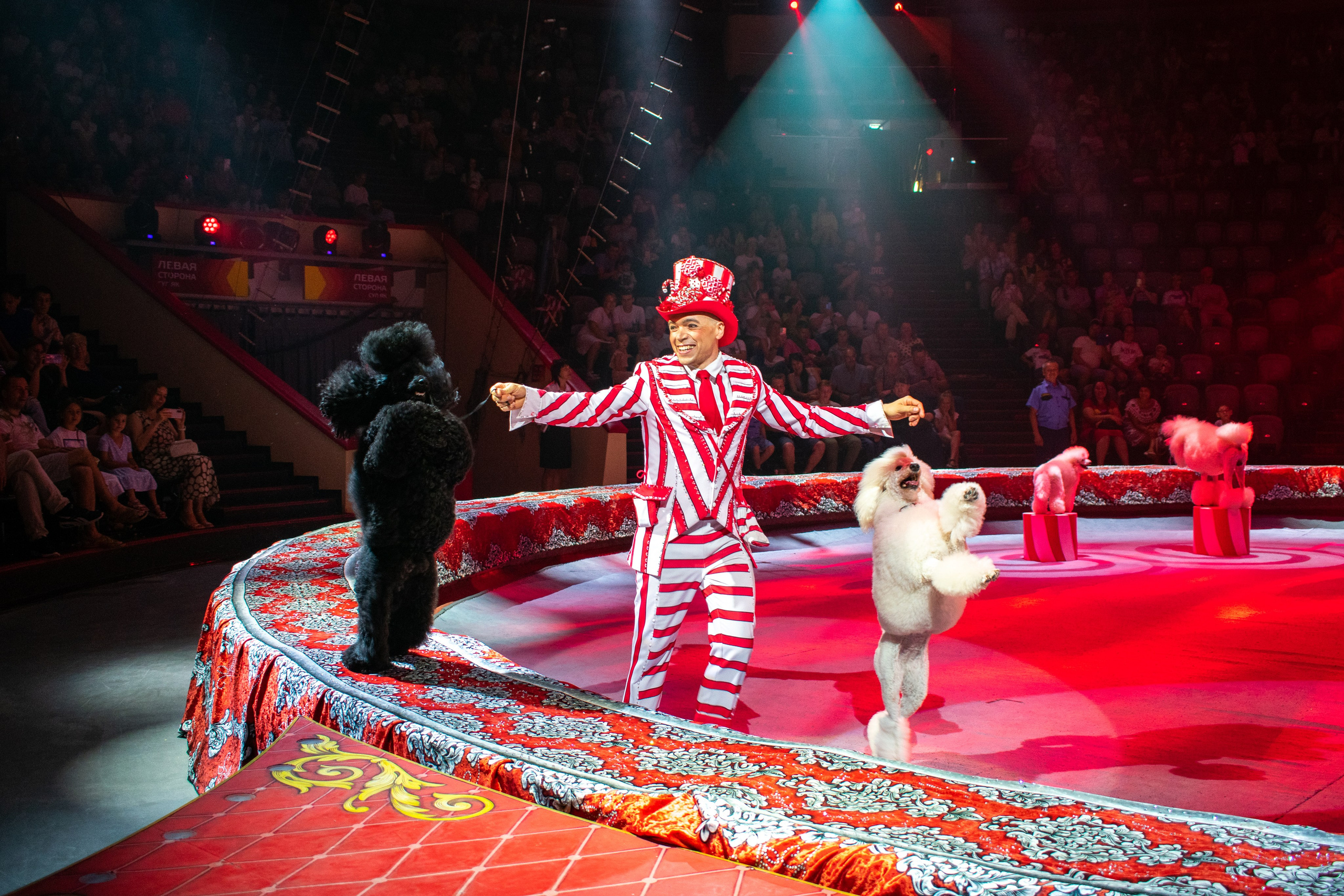 Репортажный фотограф Казань