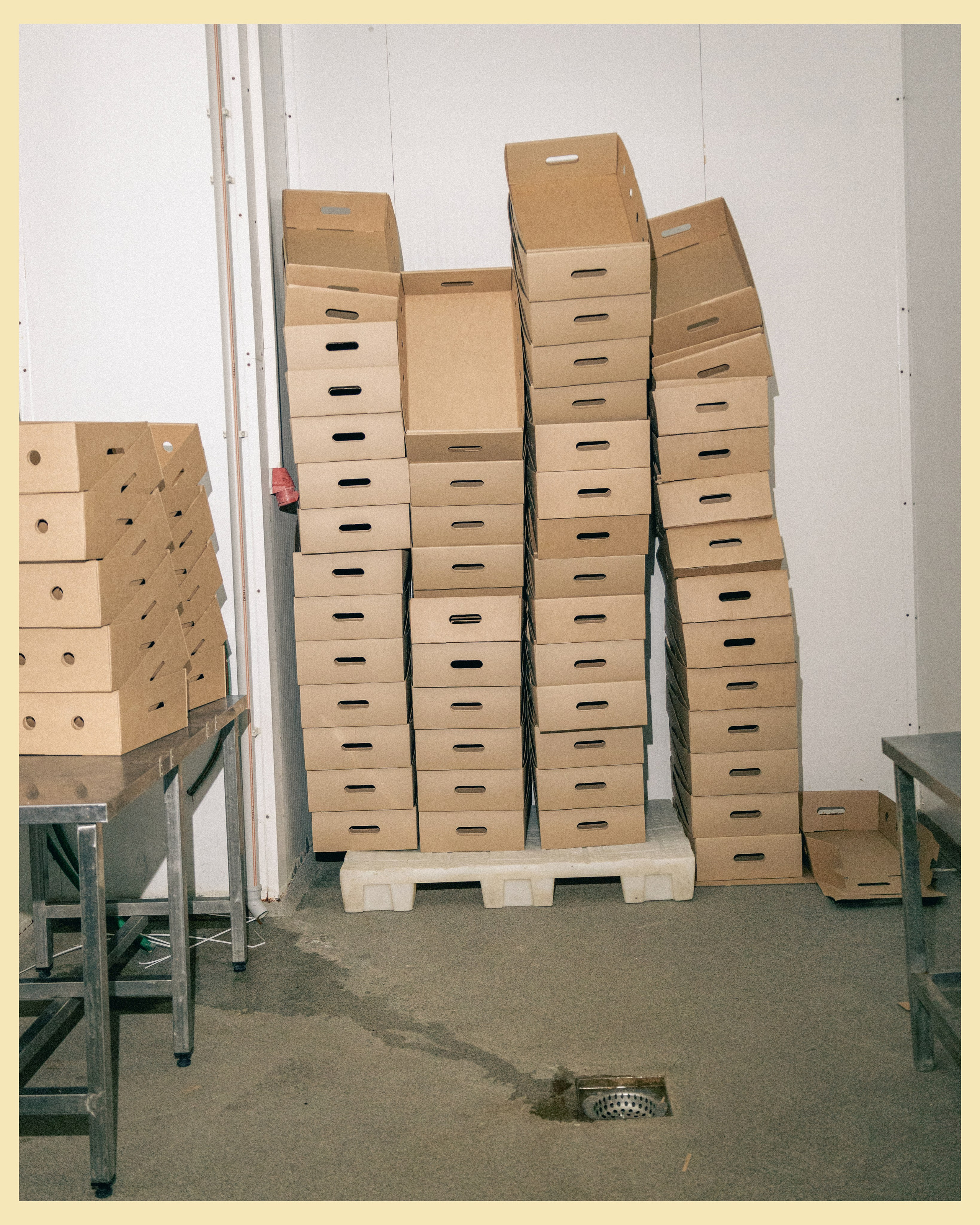 HBP x VANO. Ivan Petrov photographer