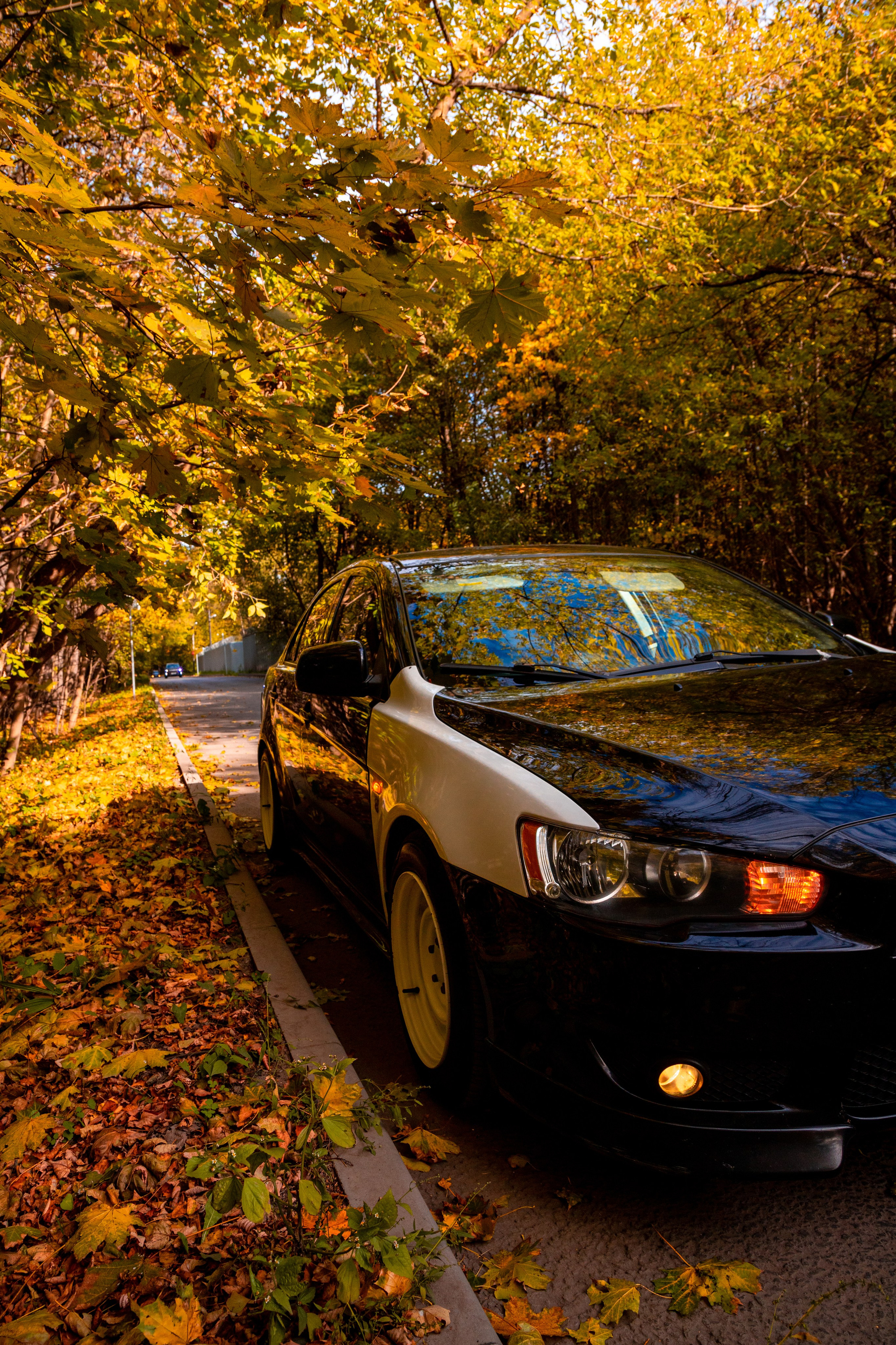 Lancer. Фотограф Анастасия Сонина