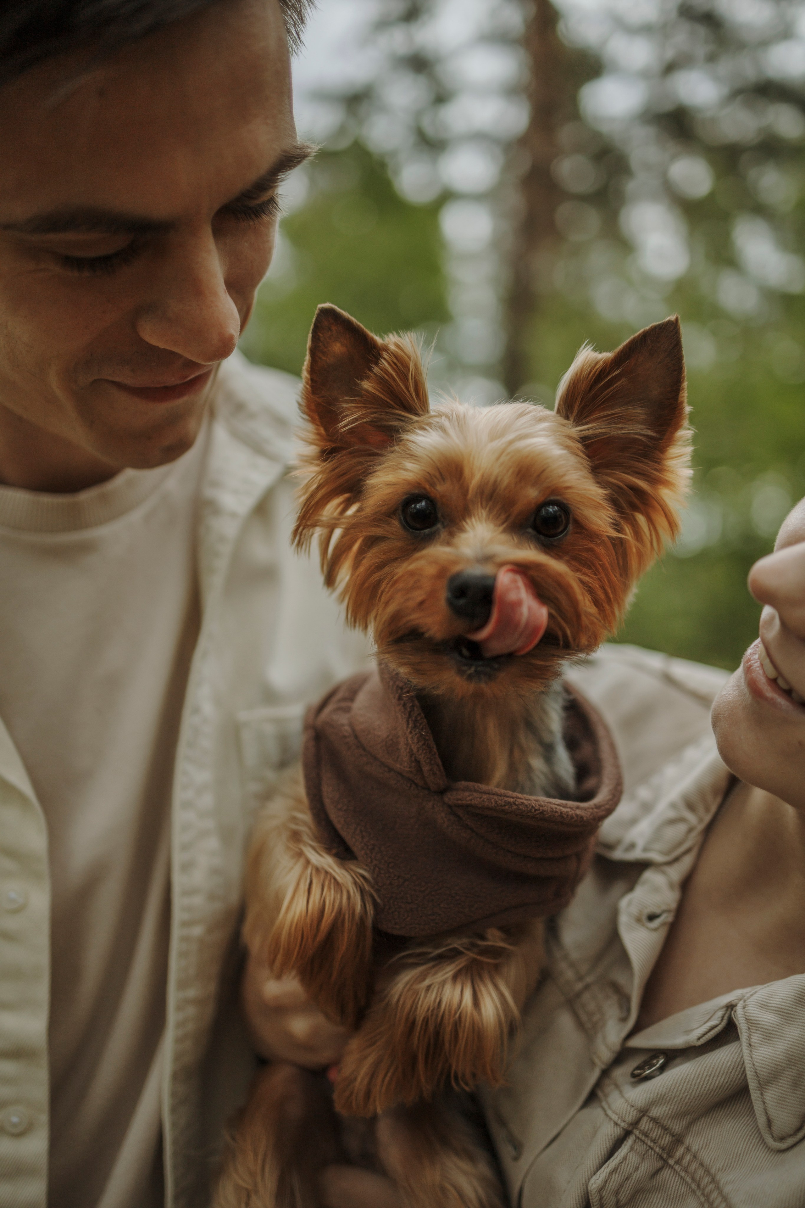 День из жизни Чуи и его семьи. Фотограф-анималист в Санкт-Петеребурге Титова Алиса