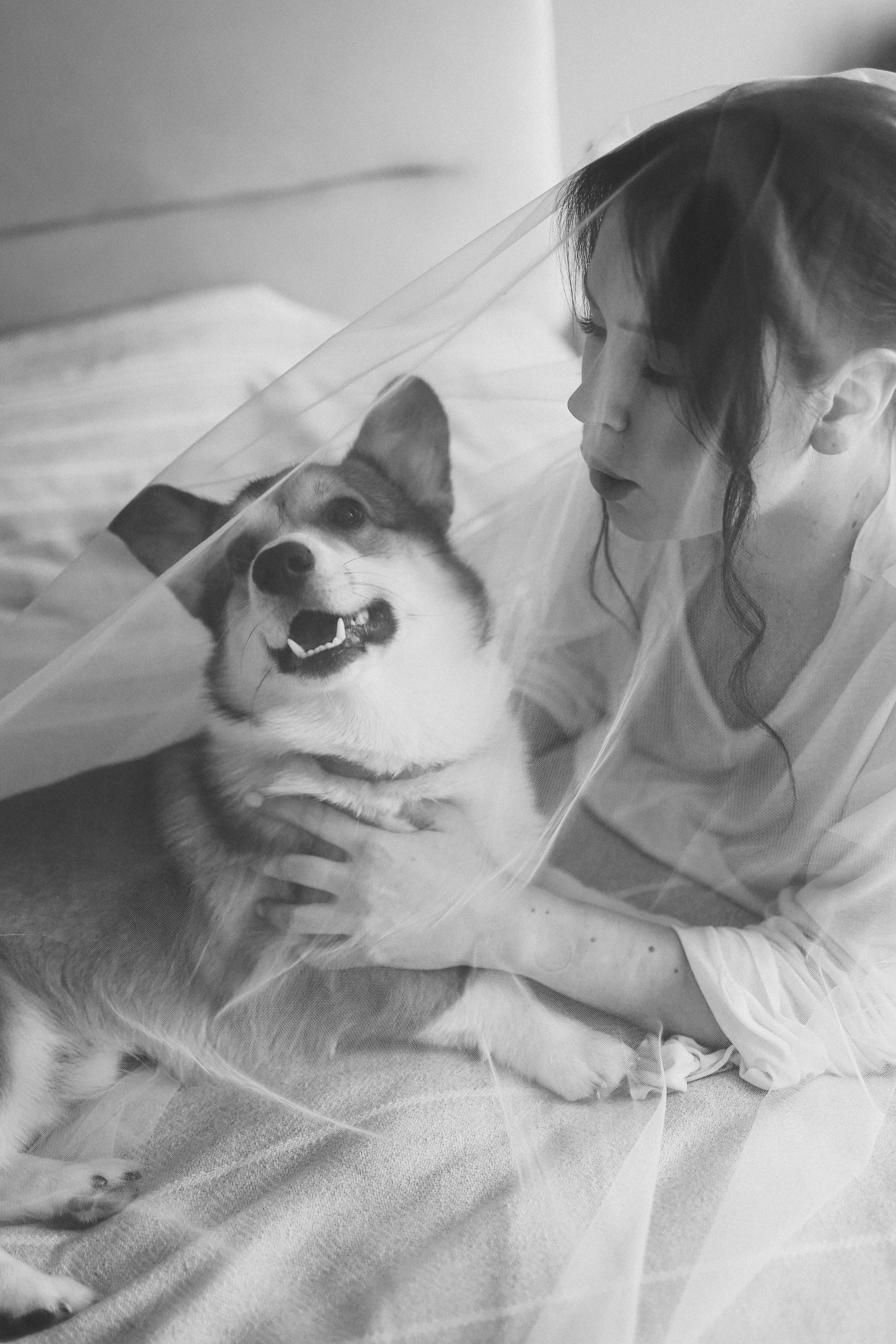 Портфолио. Портретный и семейный lifestyle фотограф Мария Боленичева в Москве и Красногорске