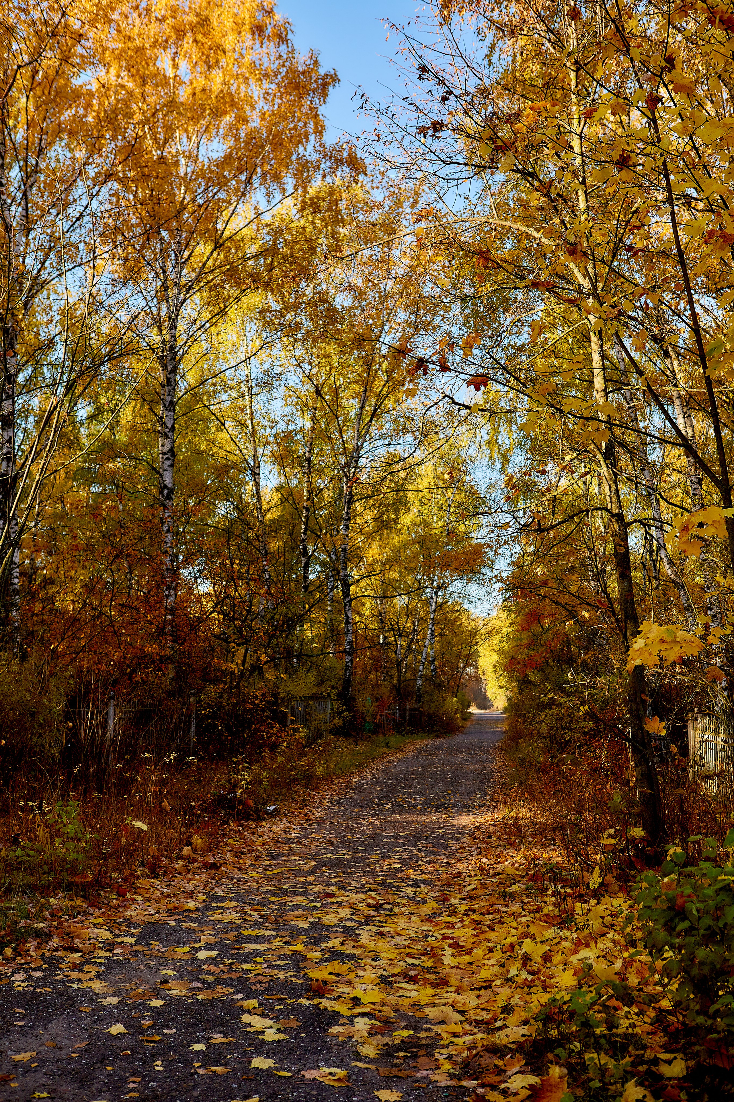 Фотографии природы