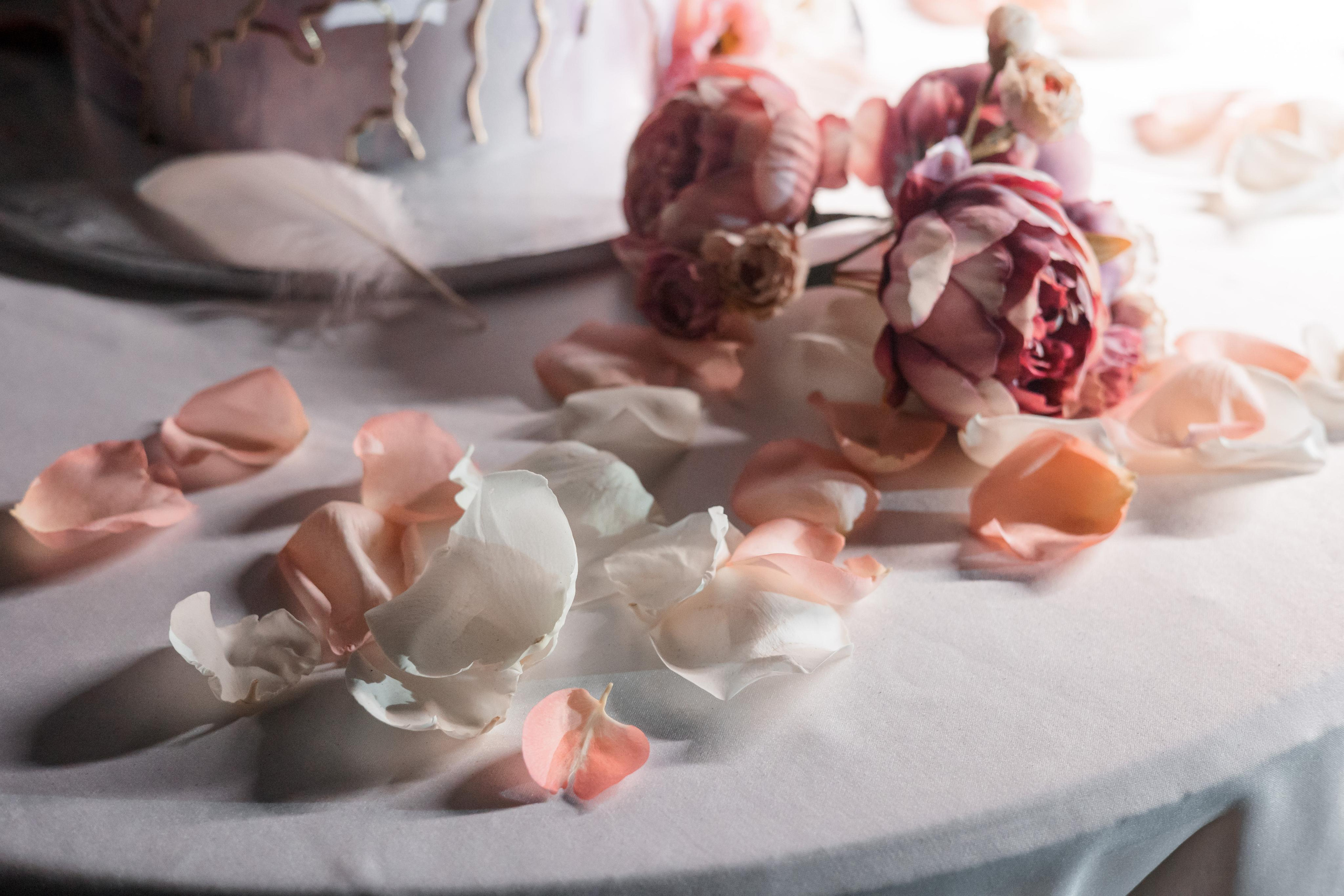 Тимур и Екатерина, Мона-Хотел. Свадебный и репортажный фотограф (Москва, Королев и другие)