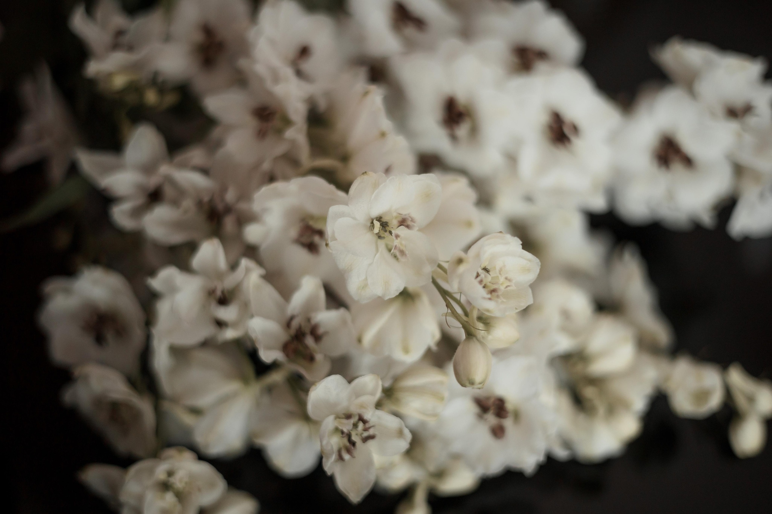 Дарья и Михаил, отель Lotte. Свадебный и репортажный фотограф (Москва, Королев и другие)