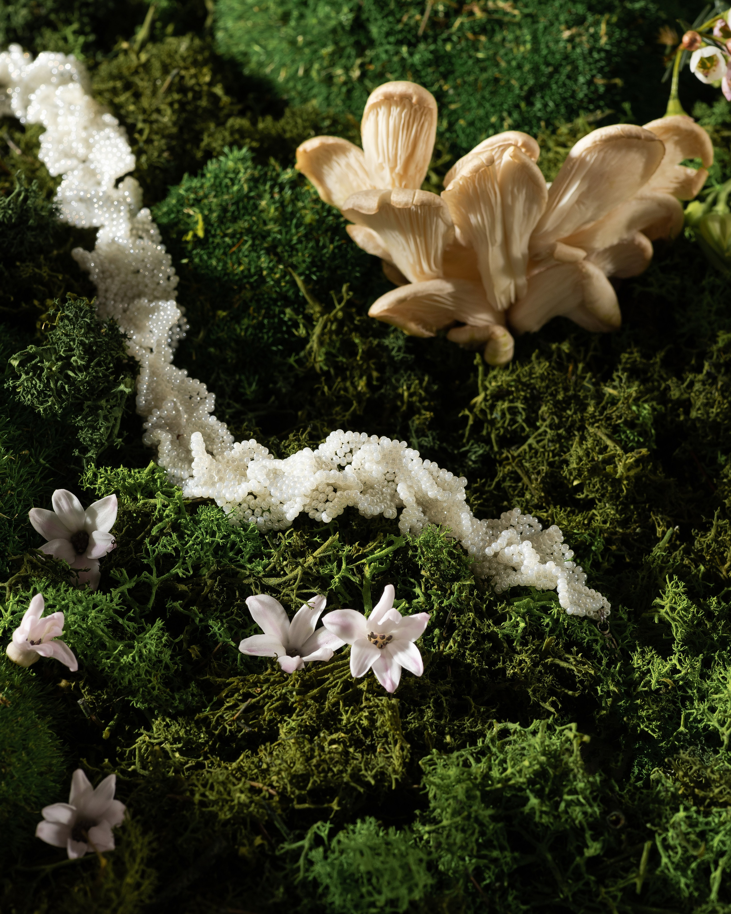 Украшения. Предметная фотография