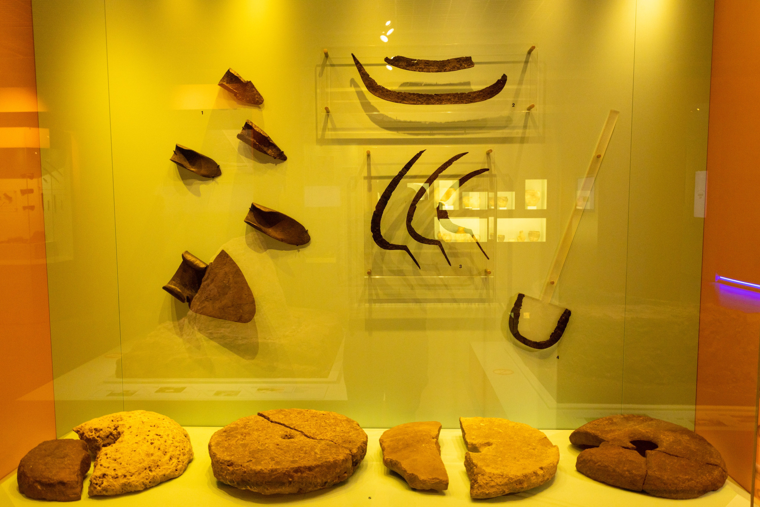 Поездка на поле Кулеково. Фотограф в Туле Крупский АнДРей. Фотостудия «КАДР71» в Туле