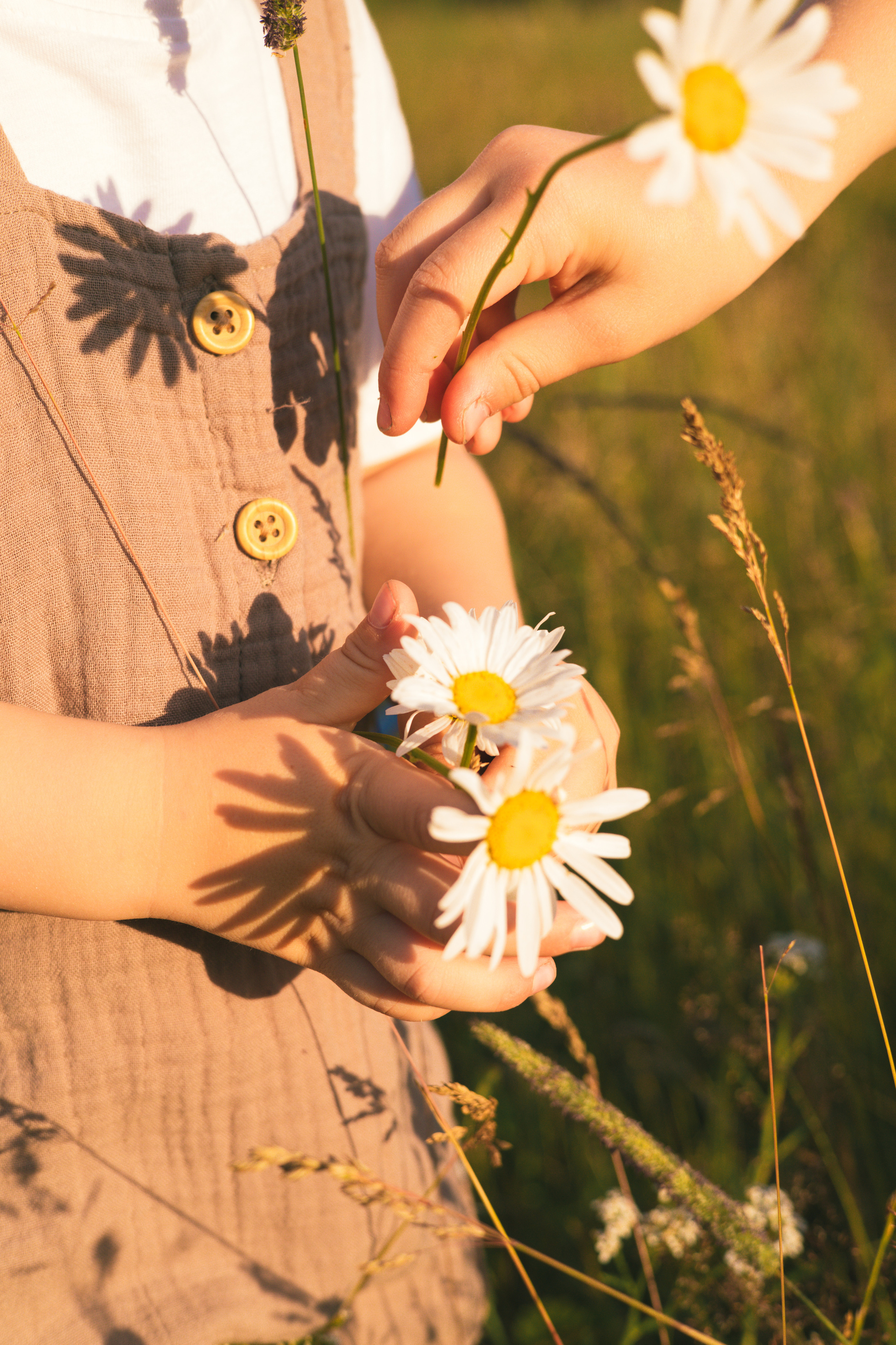 Ирина, Николай, Варя и Илюша. Семейный фотограф Москва, Раменское, Егорьевск Наталья Сидоренкова