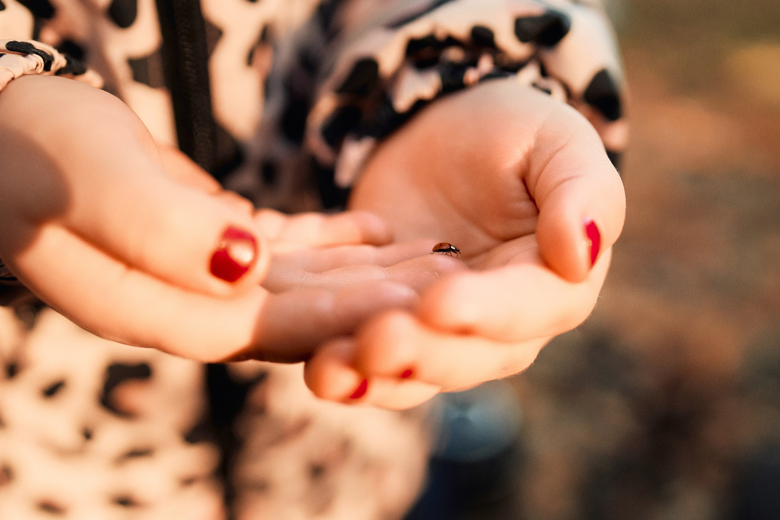 Лёня, Наташа, Матвей и Маша. Свадебный фотограф Чайковский