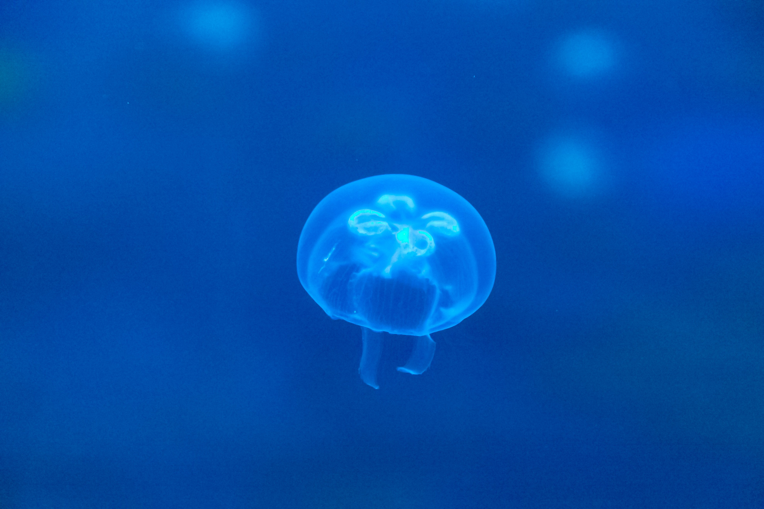 Астана 2025. Светлая сторона