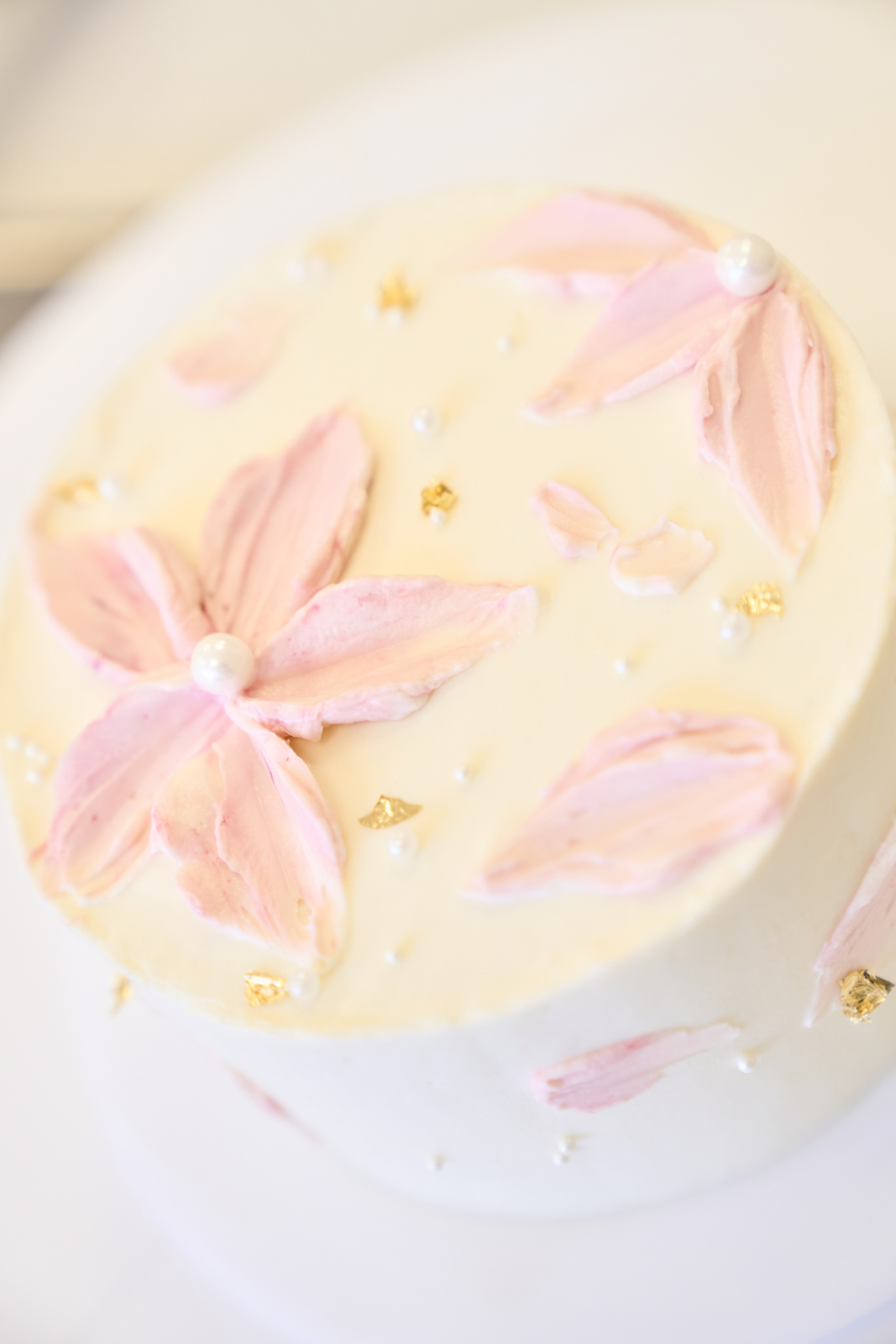 МК по бенто тортам. Фотограф в Донецке Юлия Петрушевская