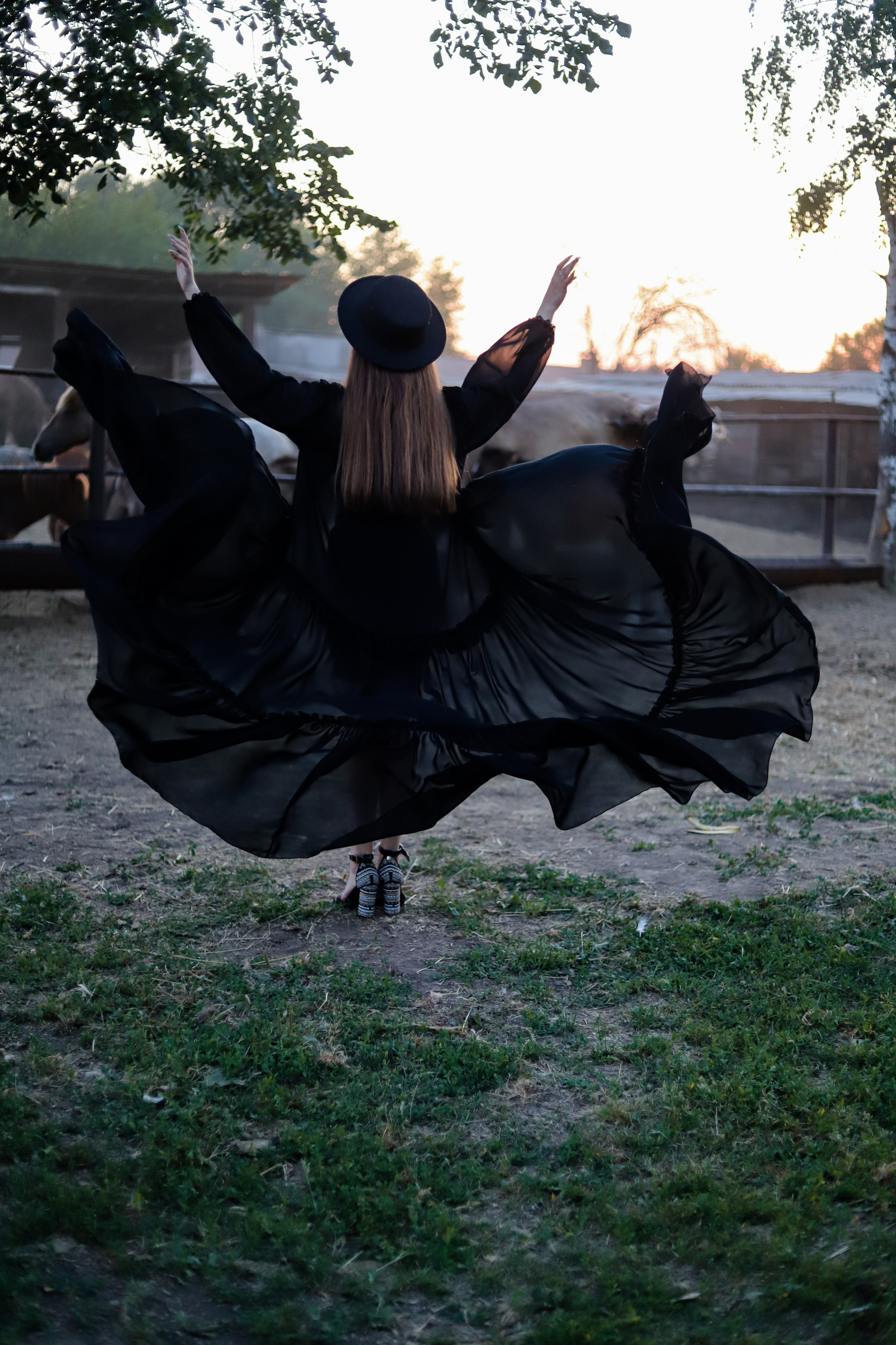 Овечки 08.08. Главная