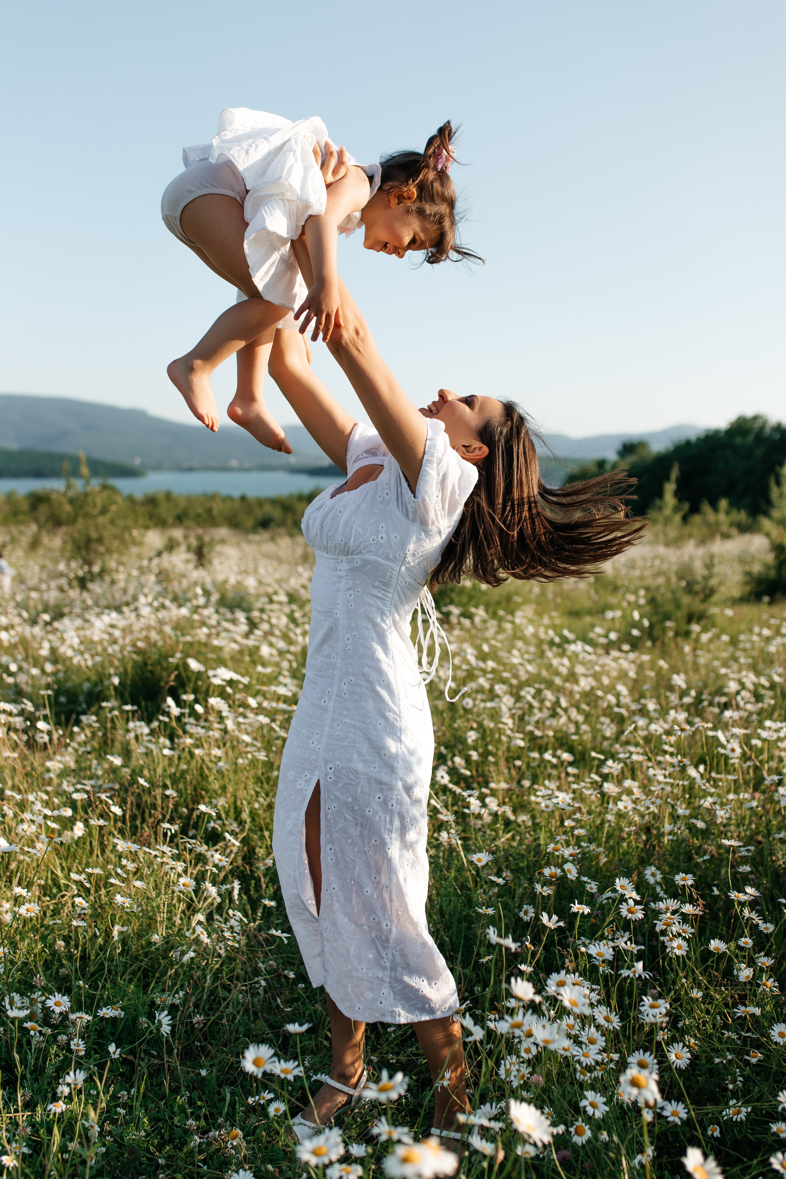 Daisies. ФОТОГРАФ