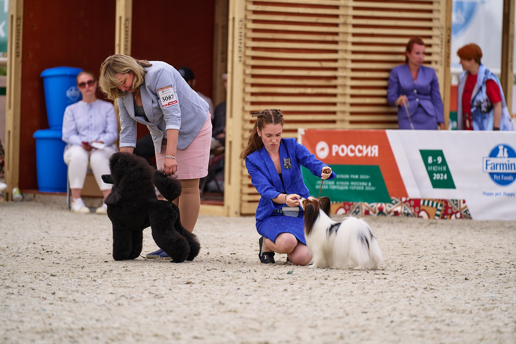 09.06.2024, «РОССИЯ. КУБОК МОСКВЫ 2024 & КУБОК ГОРОДОВ-ГЕРОЕВ»