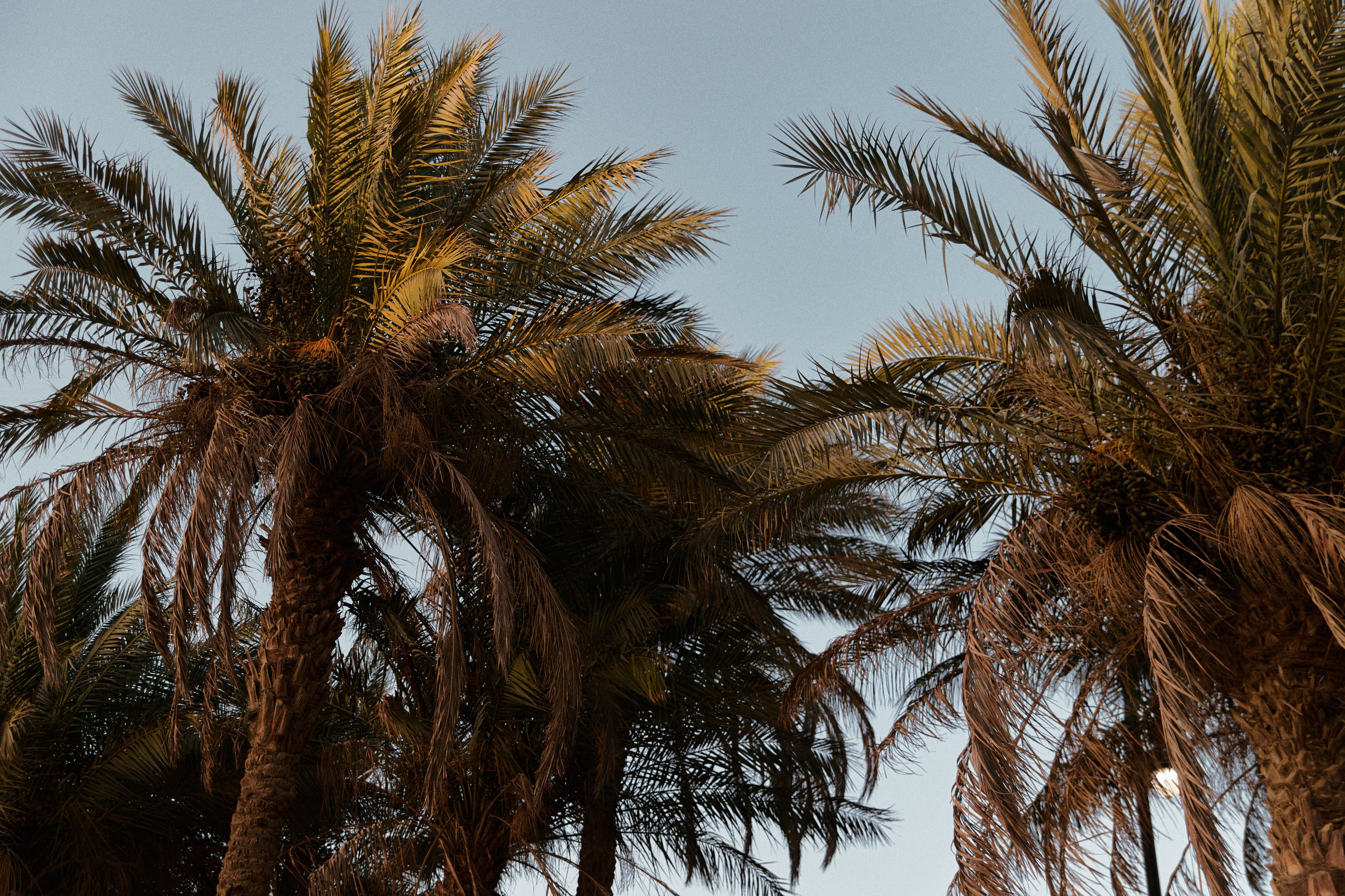 Улица горизонтальная. Jorgis — фотограф в Хургаде / обучение фотографии