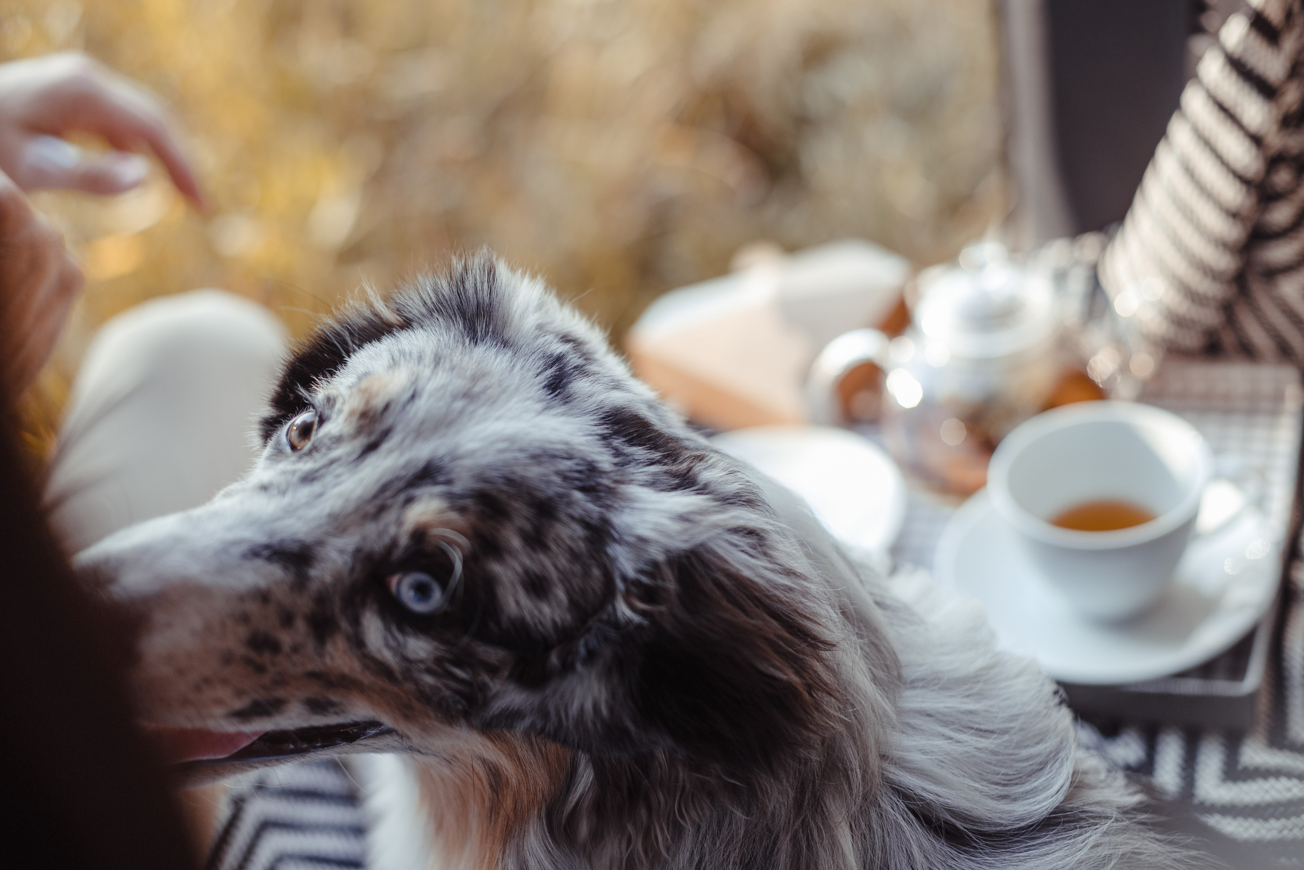 Mike. PHOTOGRAPHER romanoff-egor