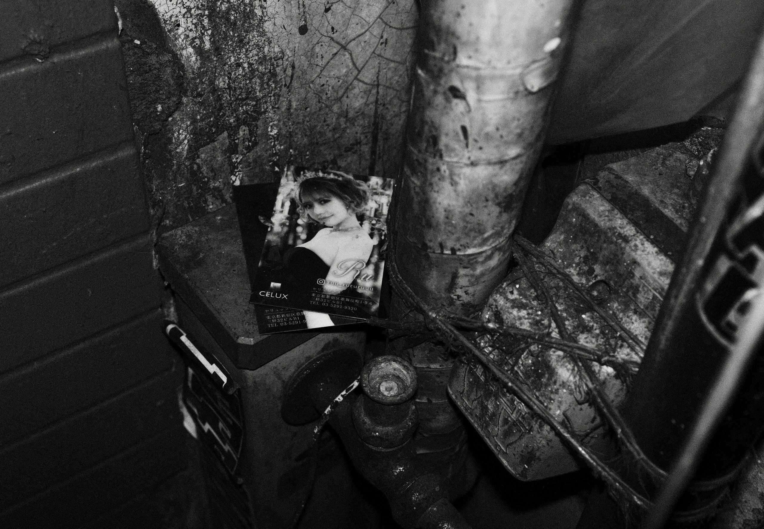 Faces of Tokyo. Regina Platonova