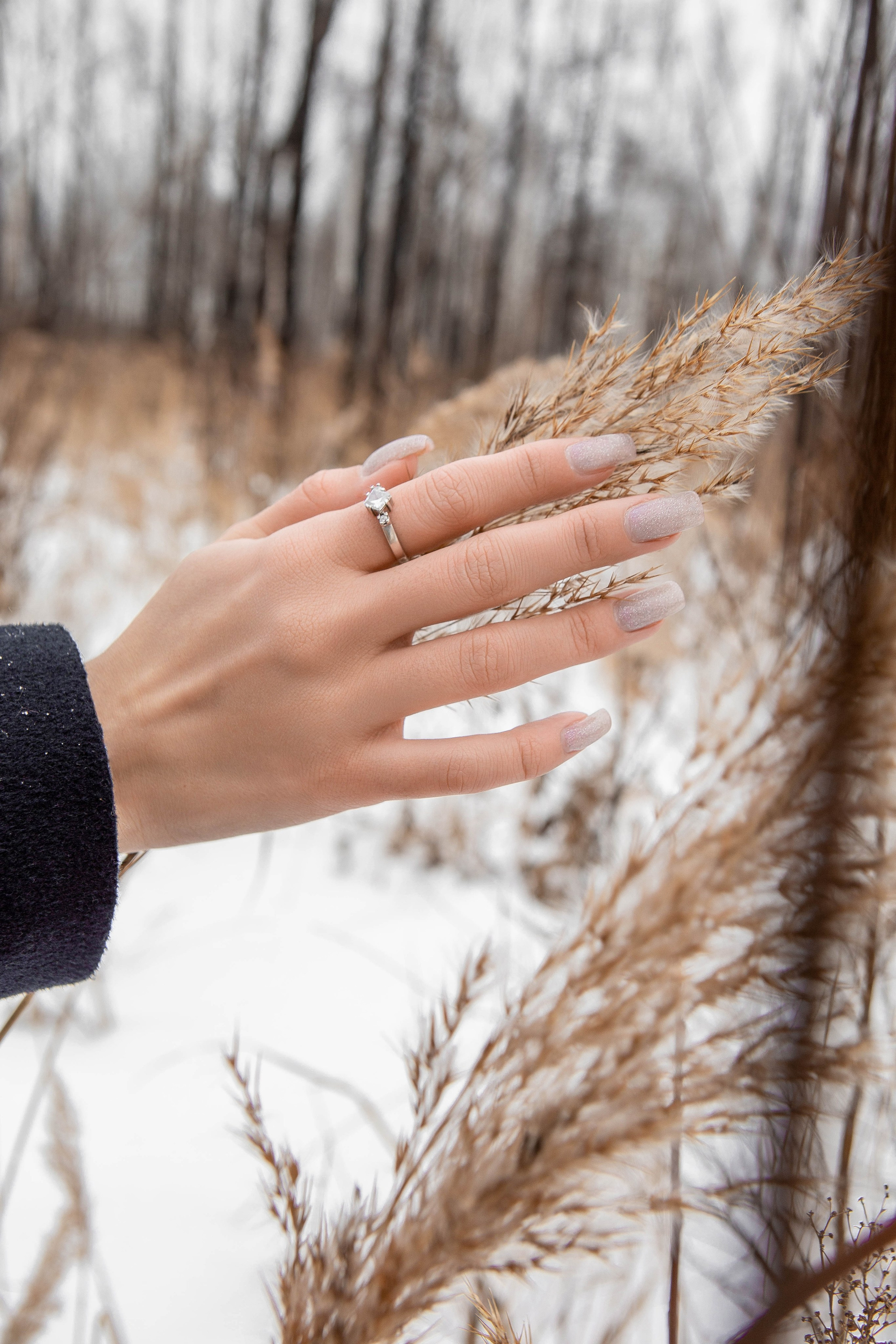Зимняя прогулка. Фотограф Екатерина Голицына