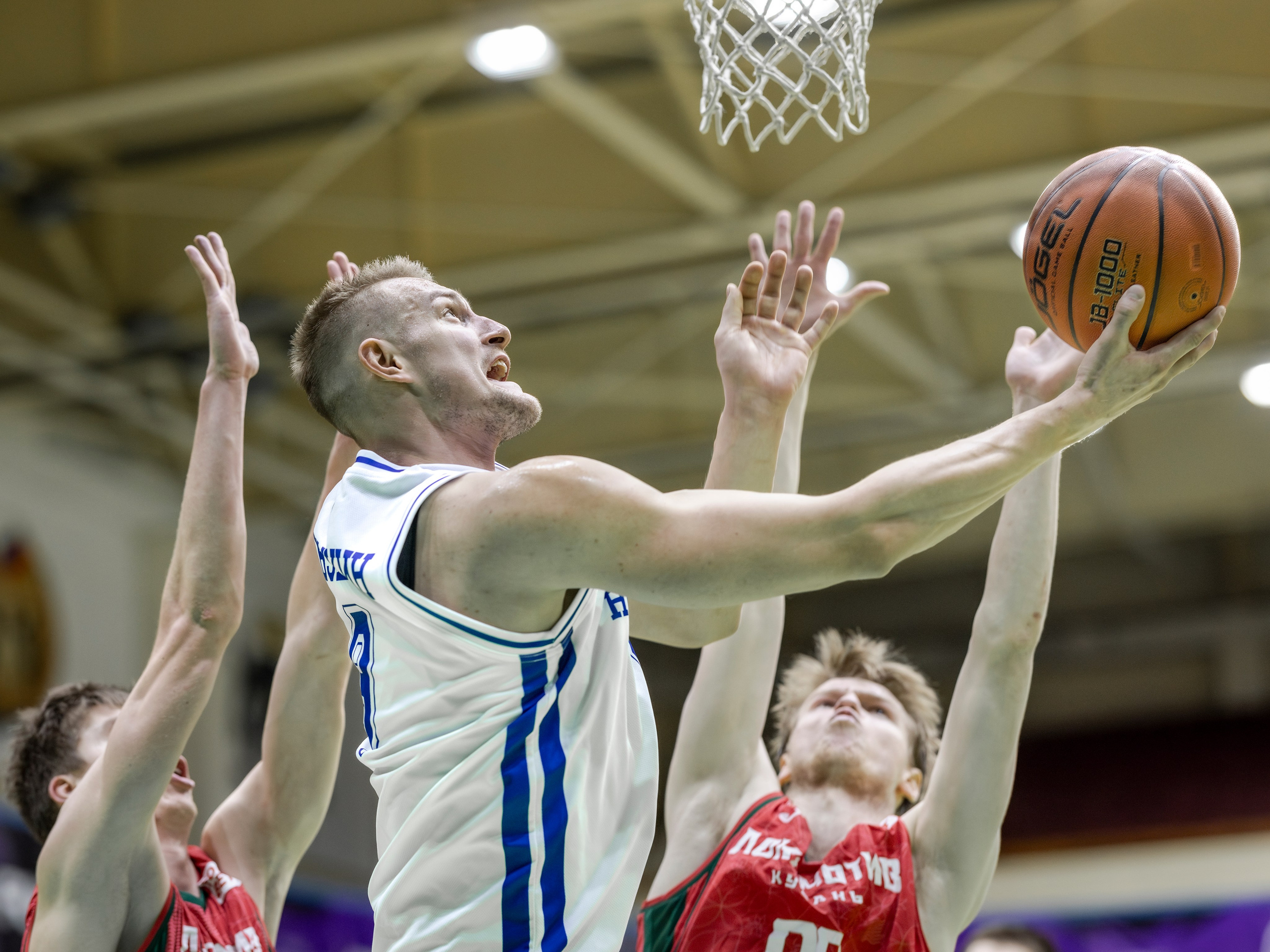 БК Новосибирск. Bertran Ordo