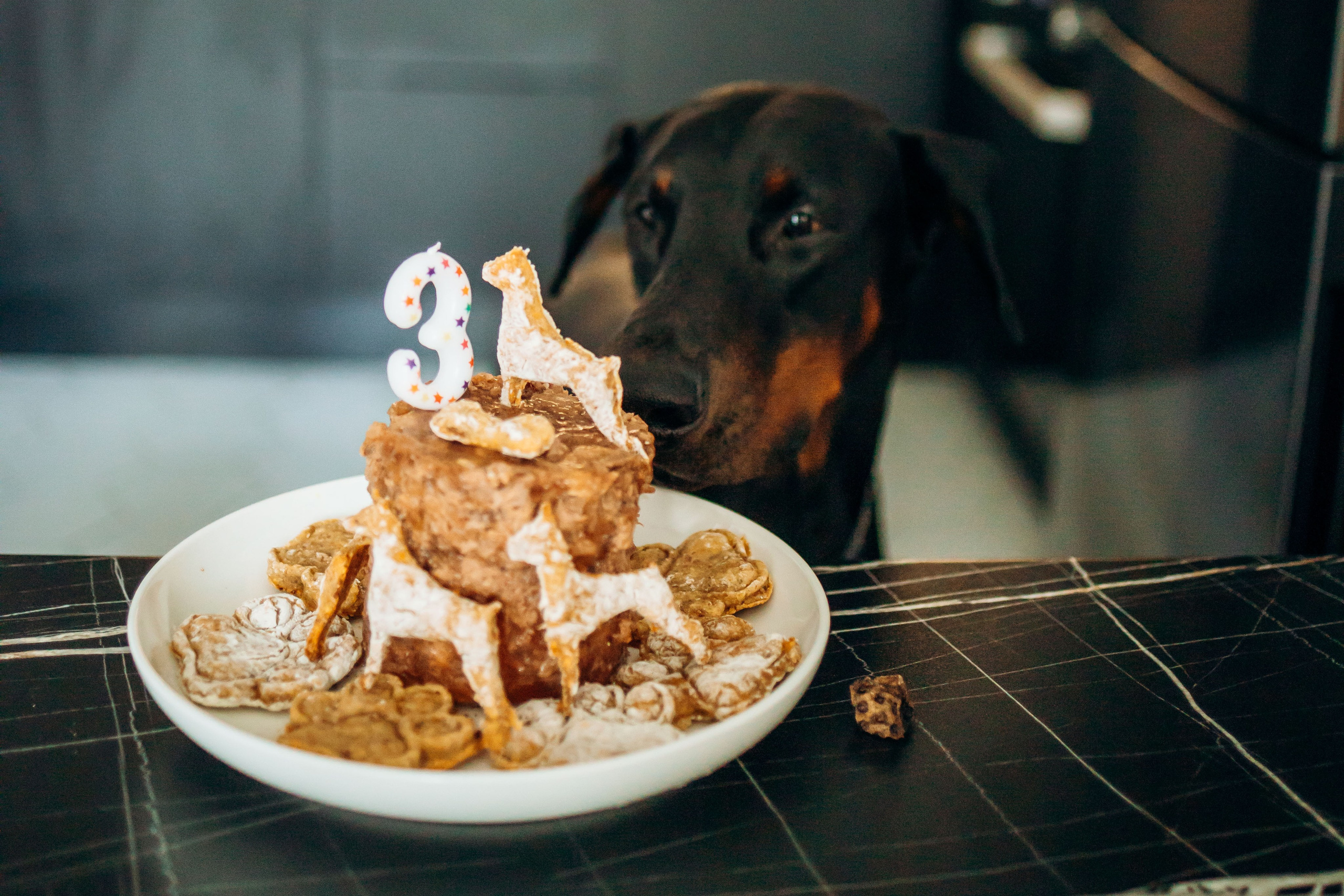 Катя и Конор