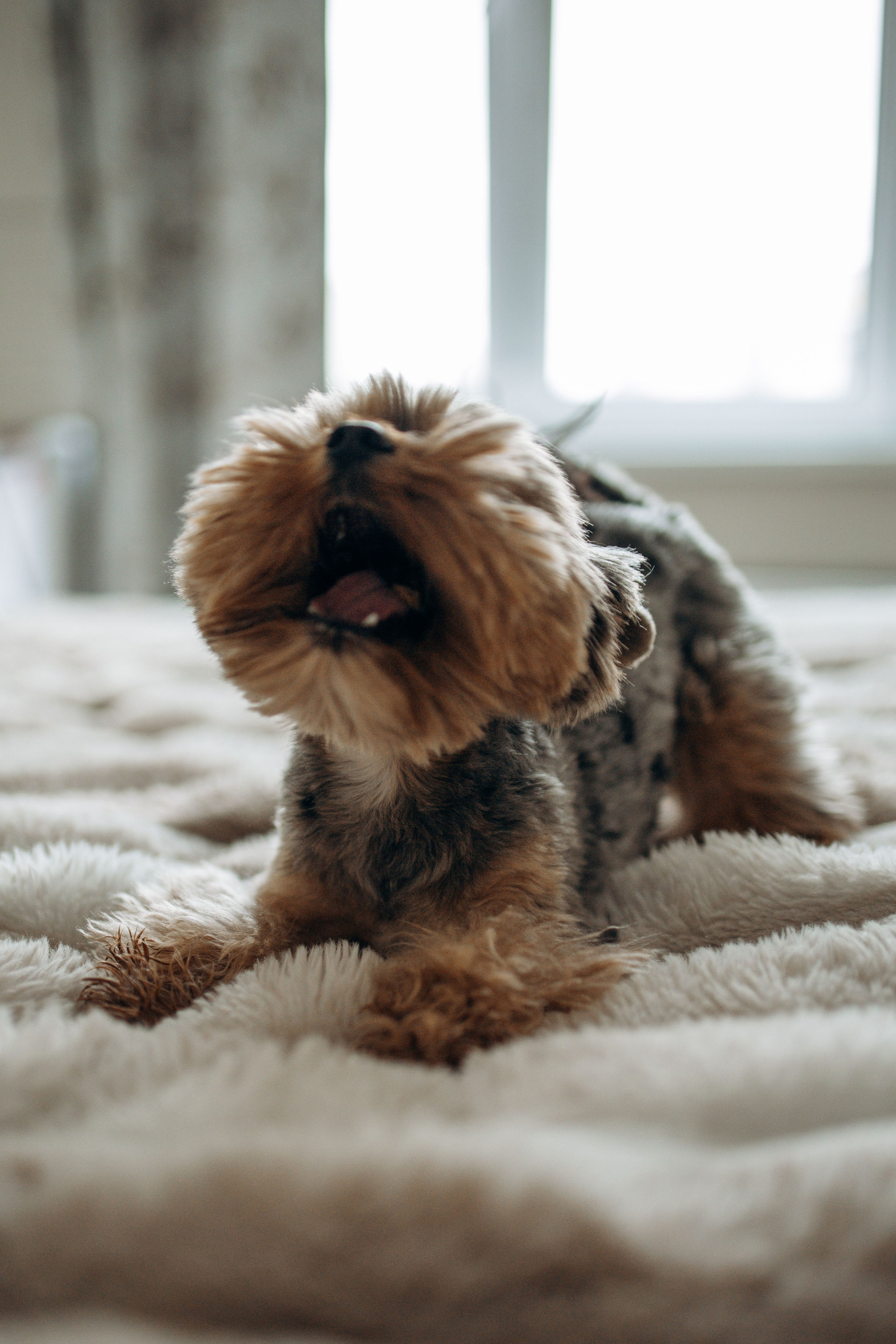 Настя и Йося