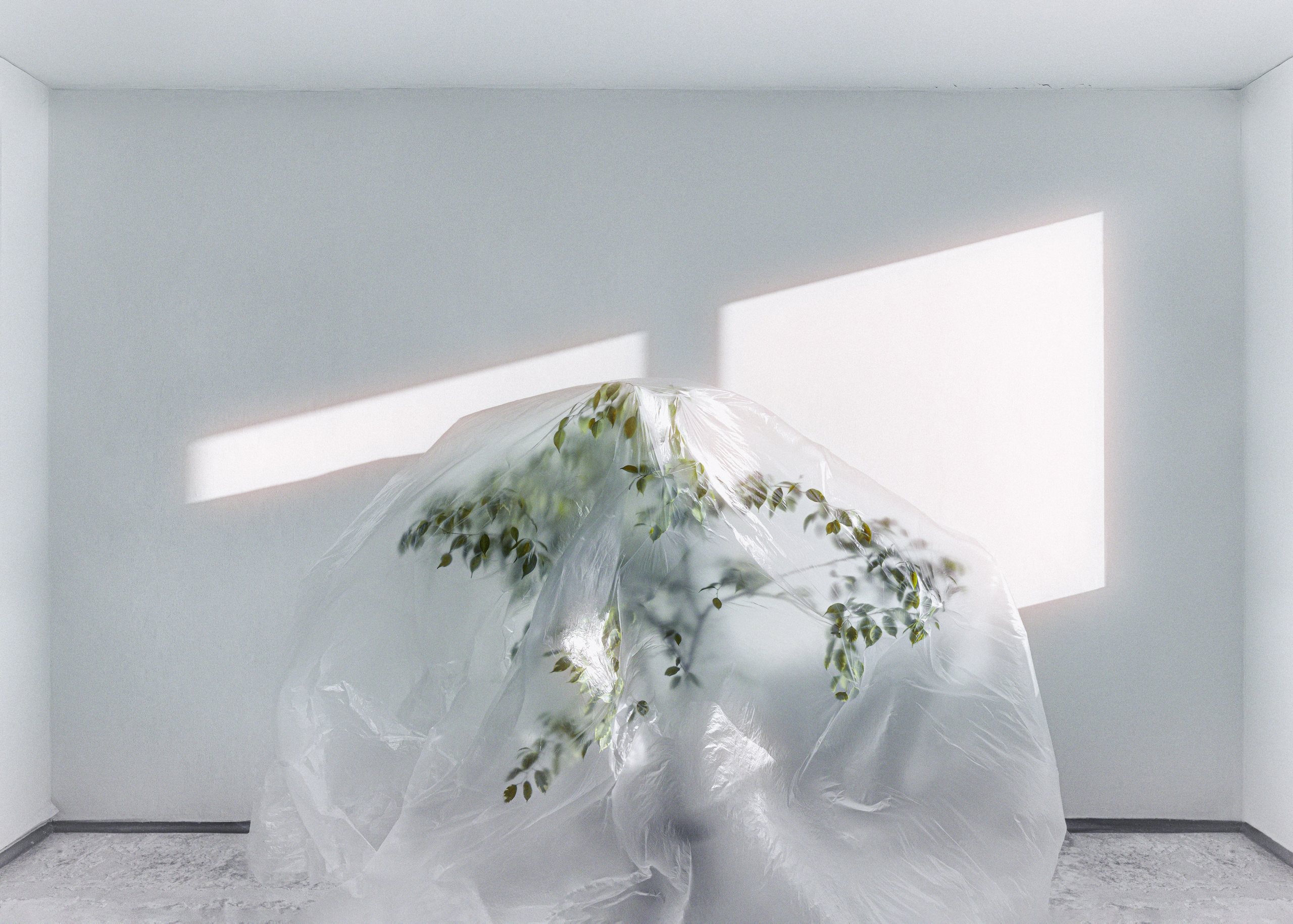 Сафонов Владислав, фотохудожник