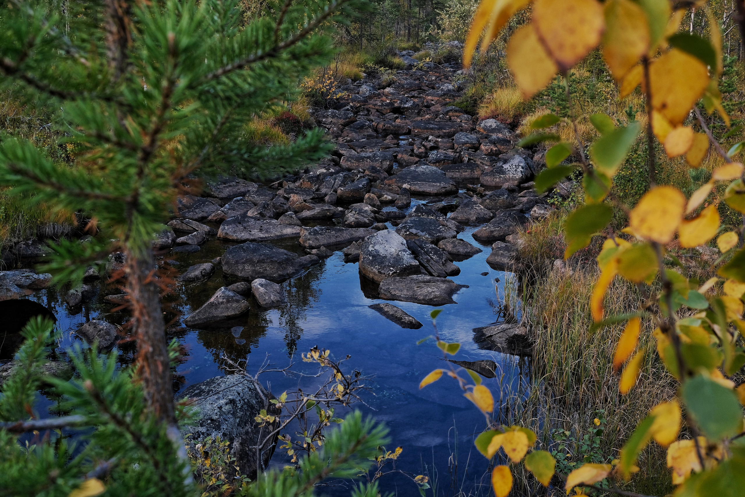 Мурманская область. Фотограф Евгений Андреев