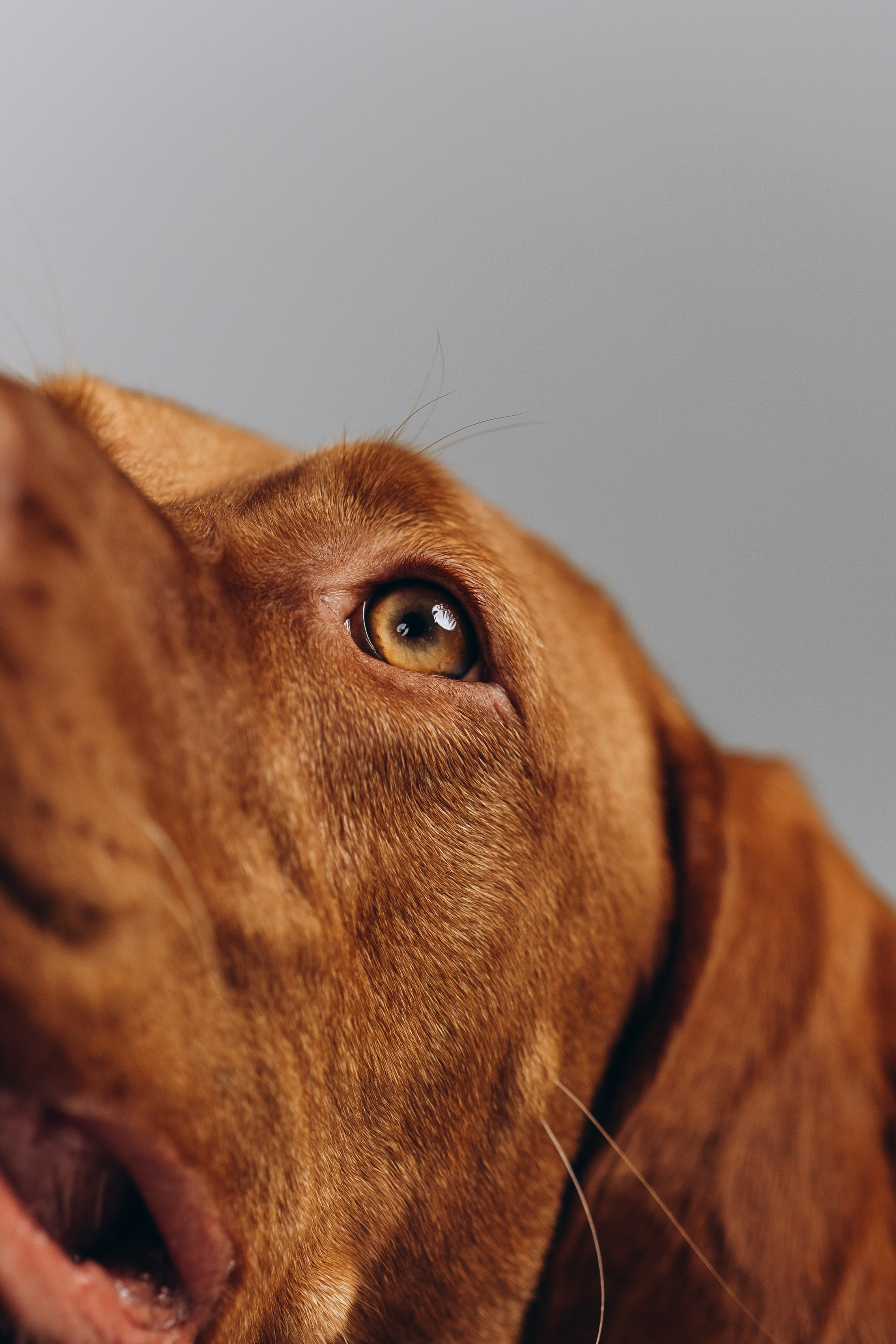 Портретная съемка. Фотограф Анапа. Екатерина Gladysha