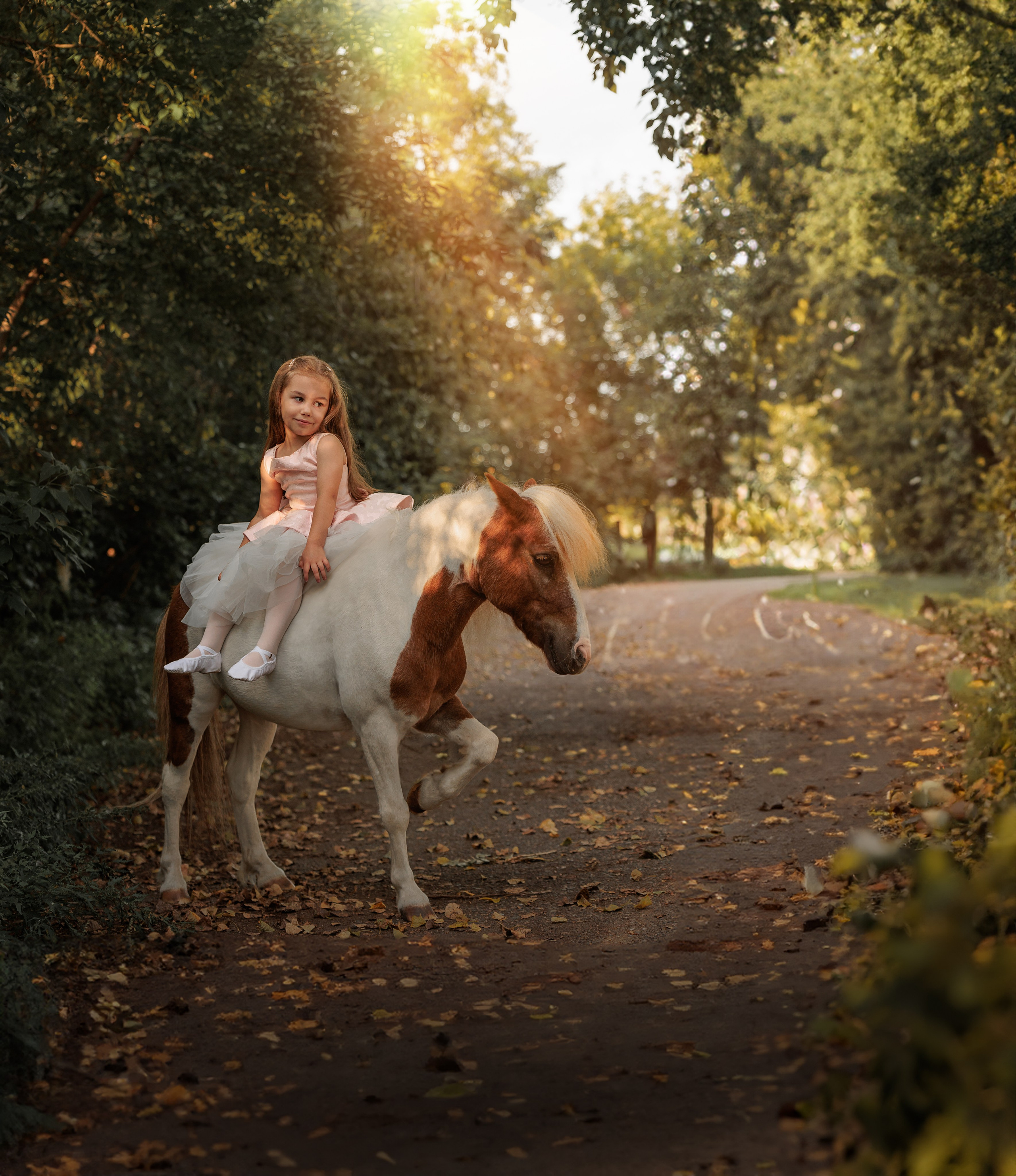 КрылатыйПони. Конный фотограф в Красноярске — Любовь Похабова
