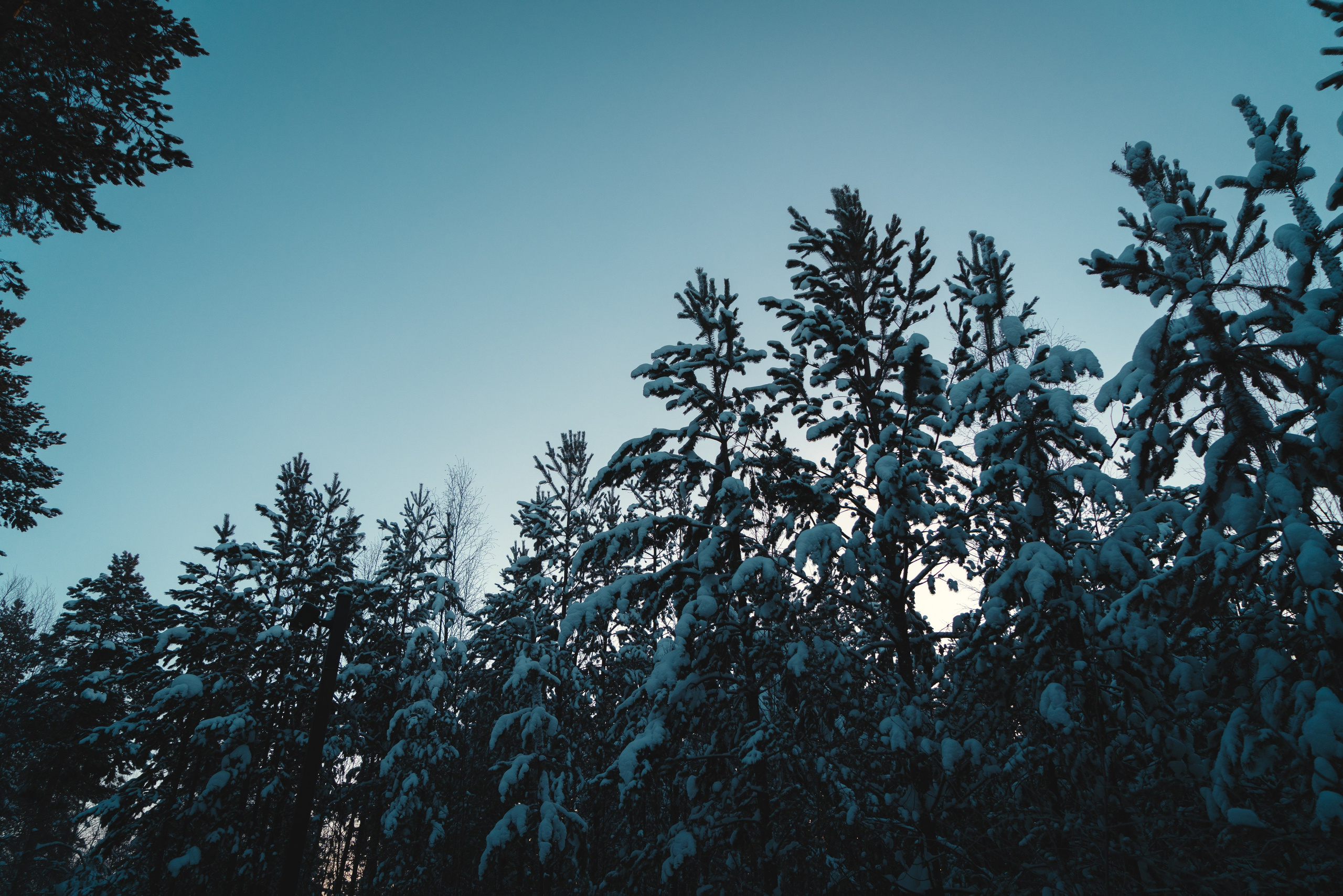 Губкинский и Когалым, Март 2024