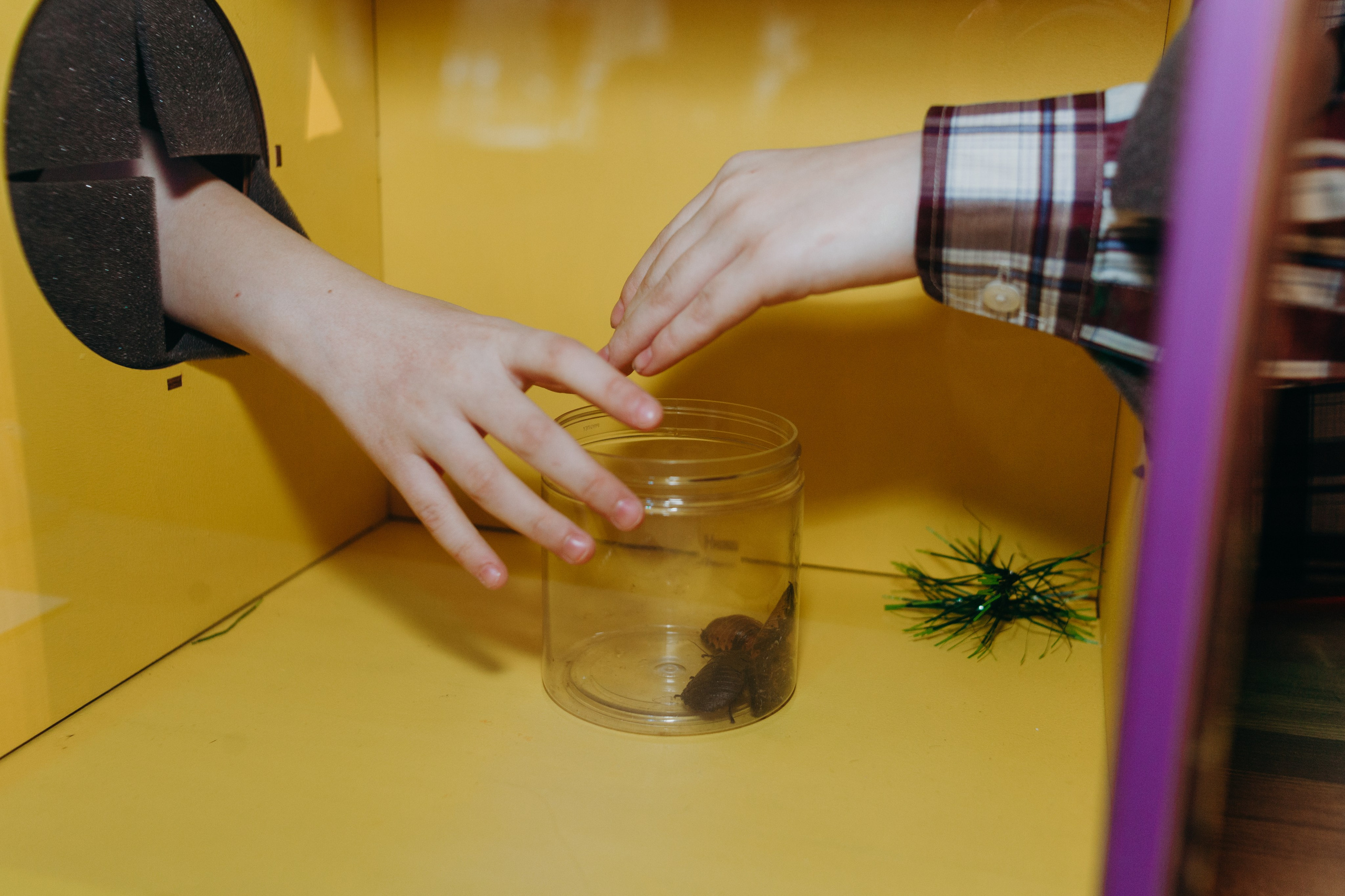 Еве 10 лет. Семейный фотограф во Всеволожске и Санкт-Петербурге Юлия Капустина