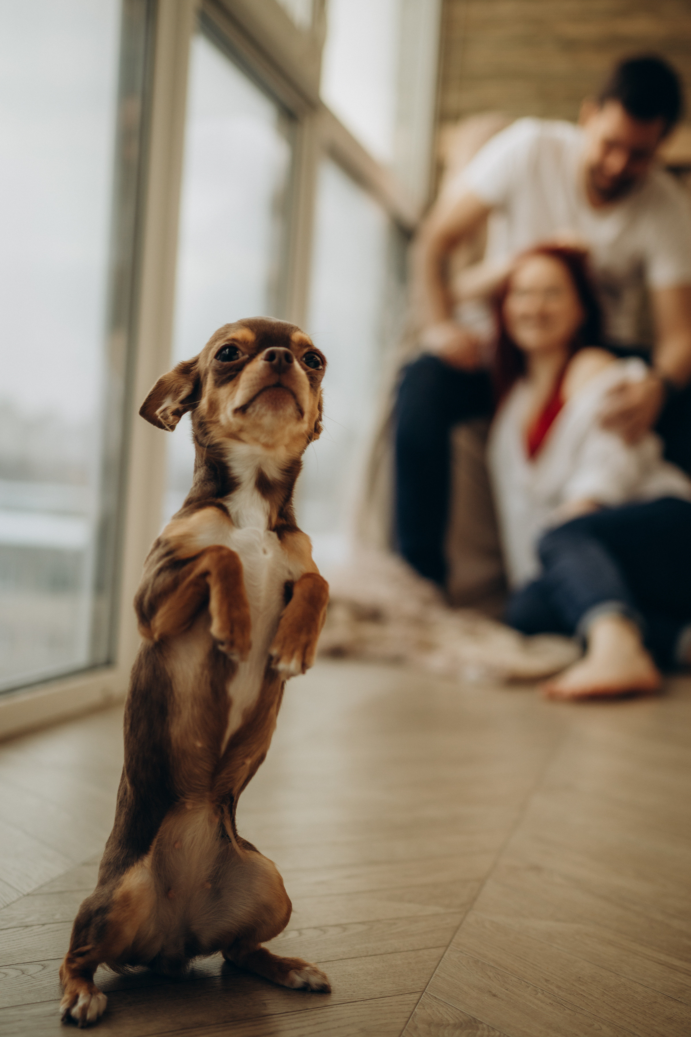 Фотосессия «Любить.». Семейный фотограф в Магнитогорске Алина Рыжова