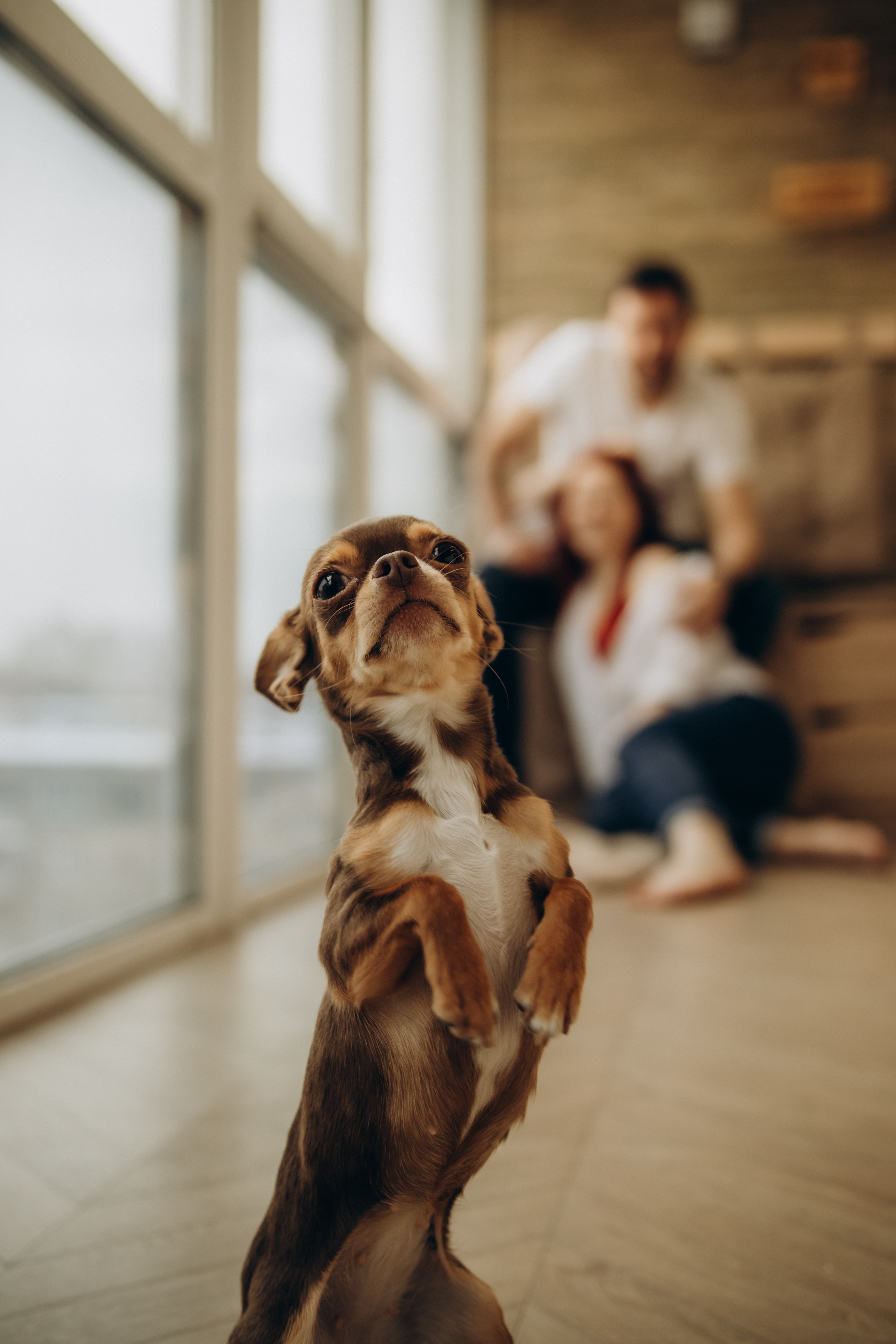 Фотосессия «Любить.». Семейный фотограф в Магнитогорске Алина Рыжова