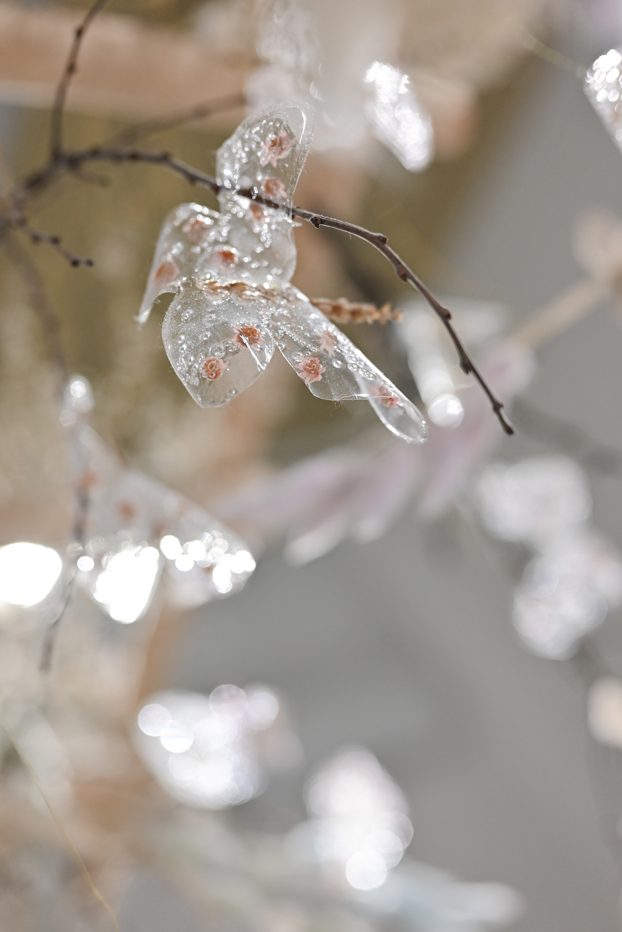 Вечер на двоих. Свадебный и семейный фотограф в Уфе Александров Максим