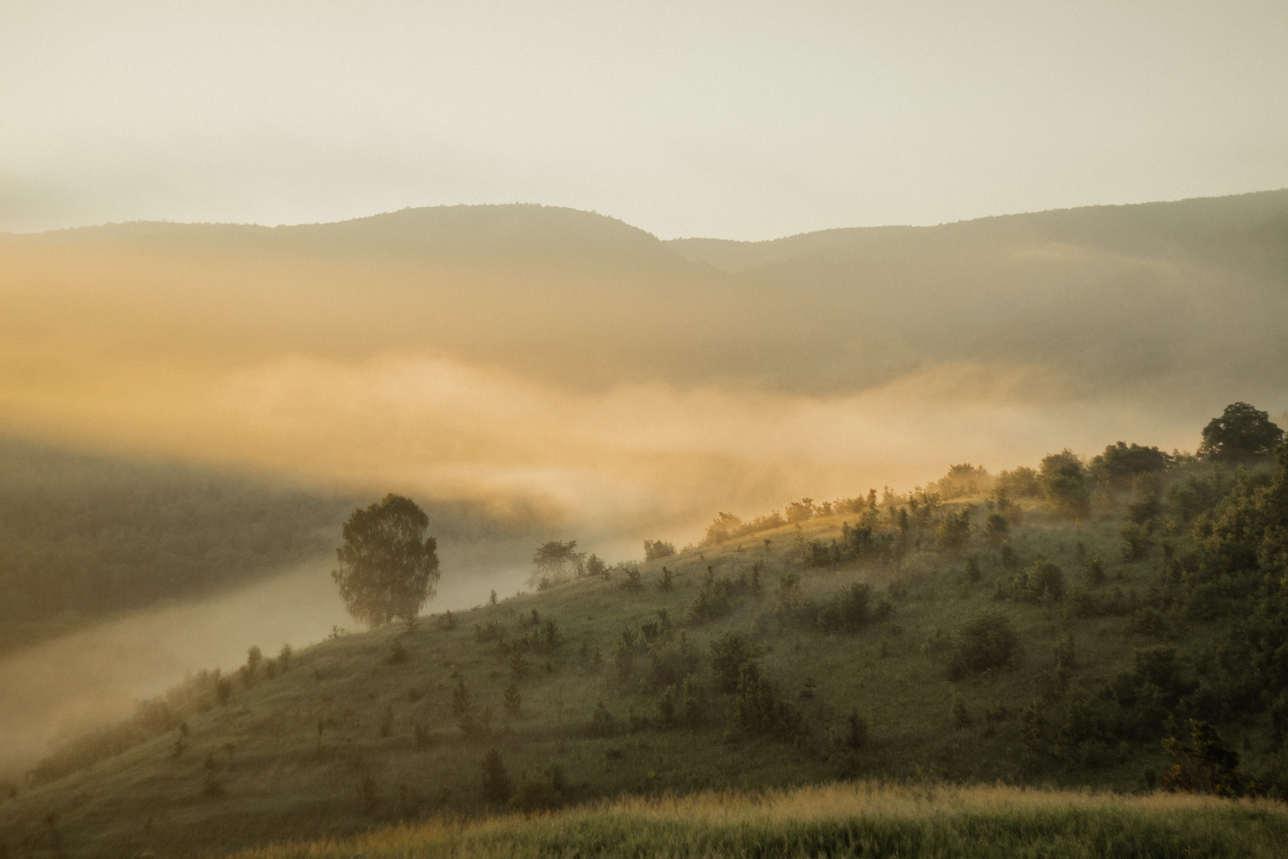 Рассвет. Альбина. Фотограф Исламова Диана