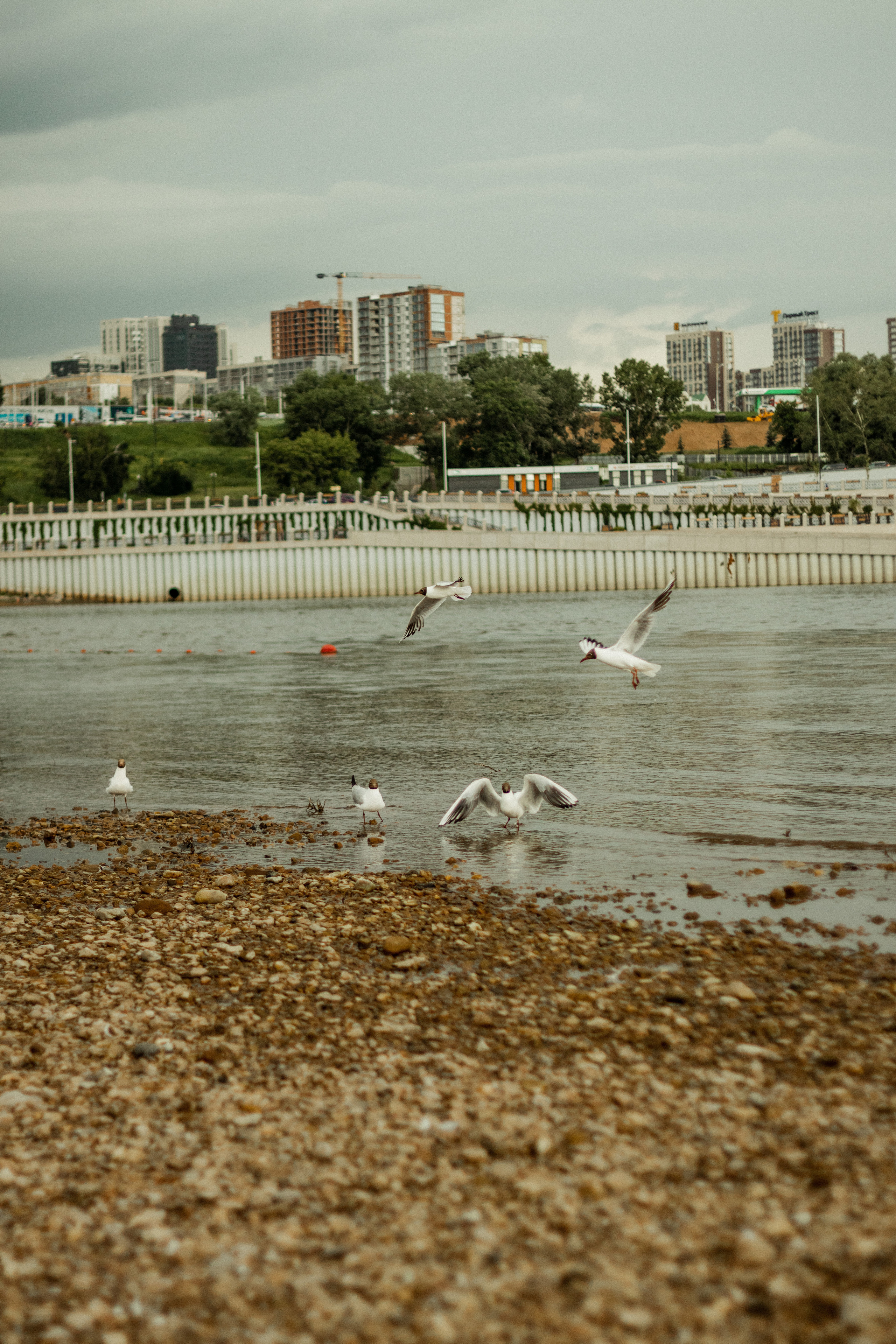 Искандер на берегу. Фотограф Исламова Диана