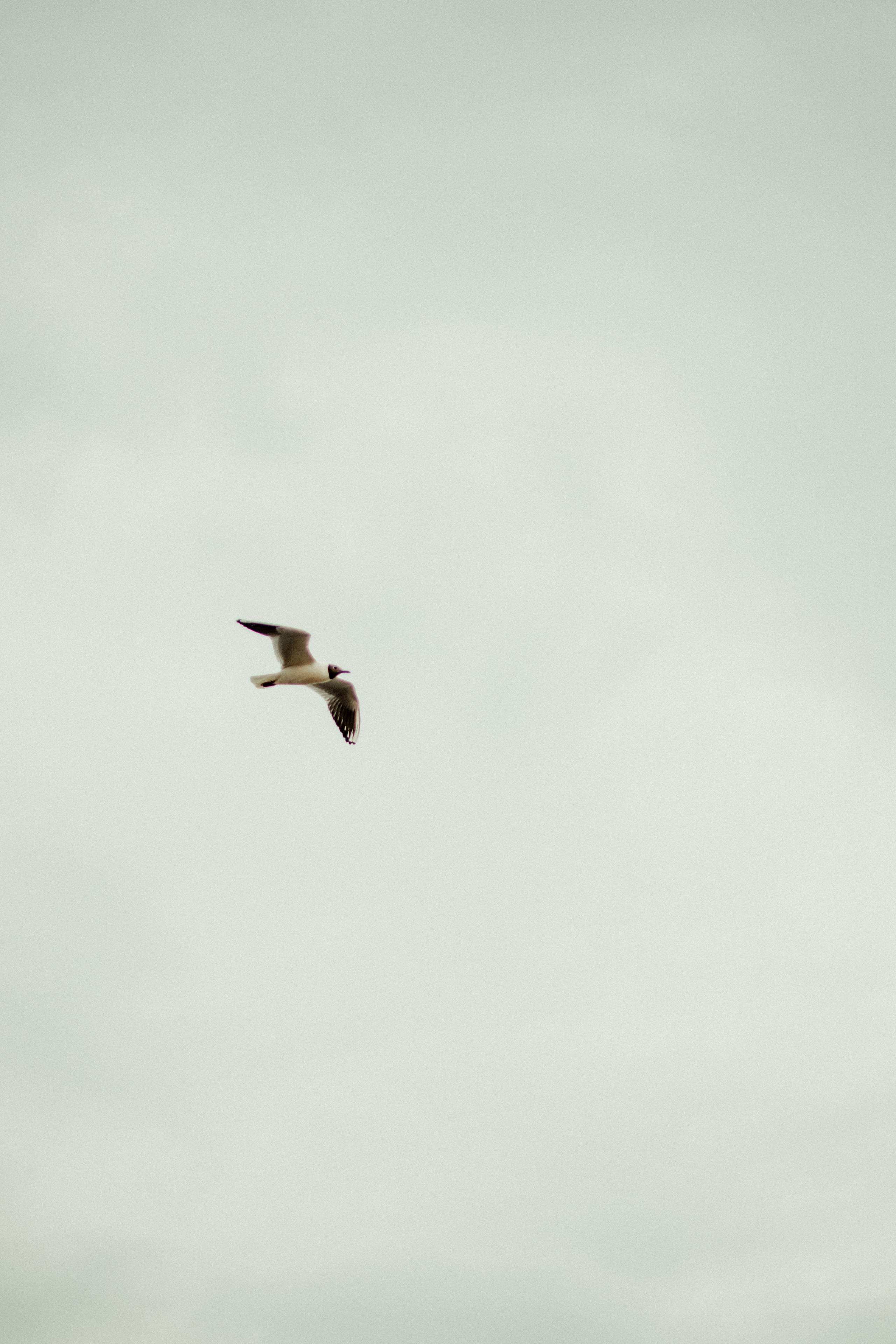 Искандер на берегу. Фотограф Исламова Диана