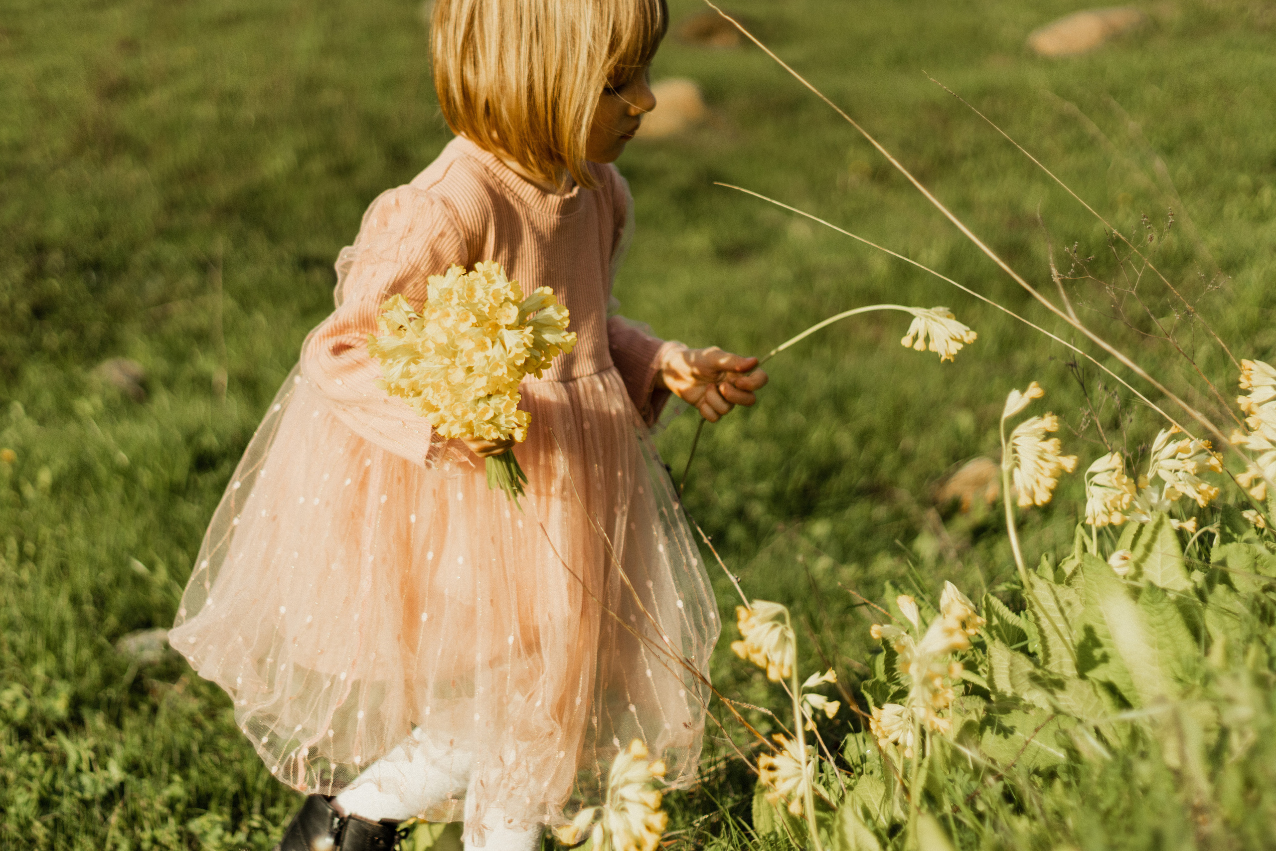 Широкий дол. Фотограф Исламова Диана