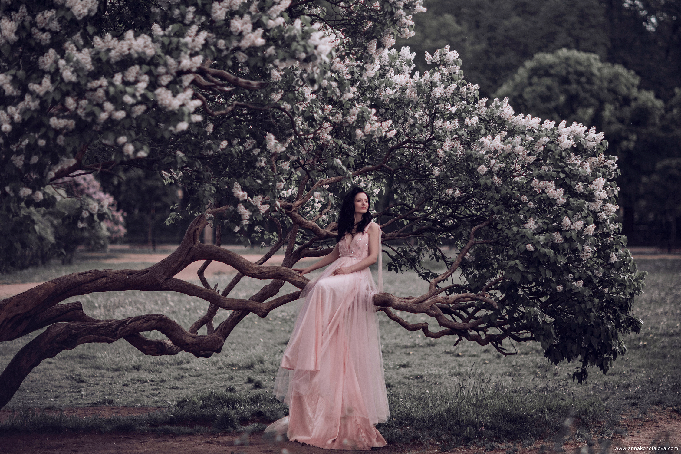 Фотограф в Санкт — Петербурге Анна Конофало