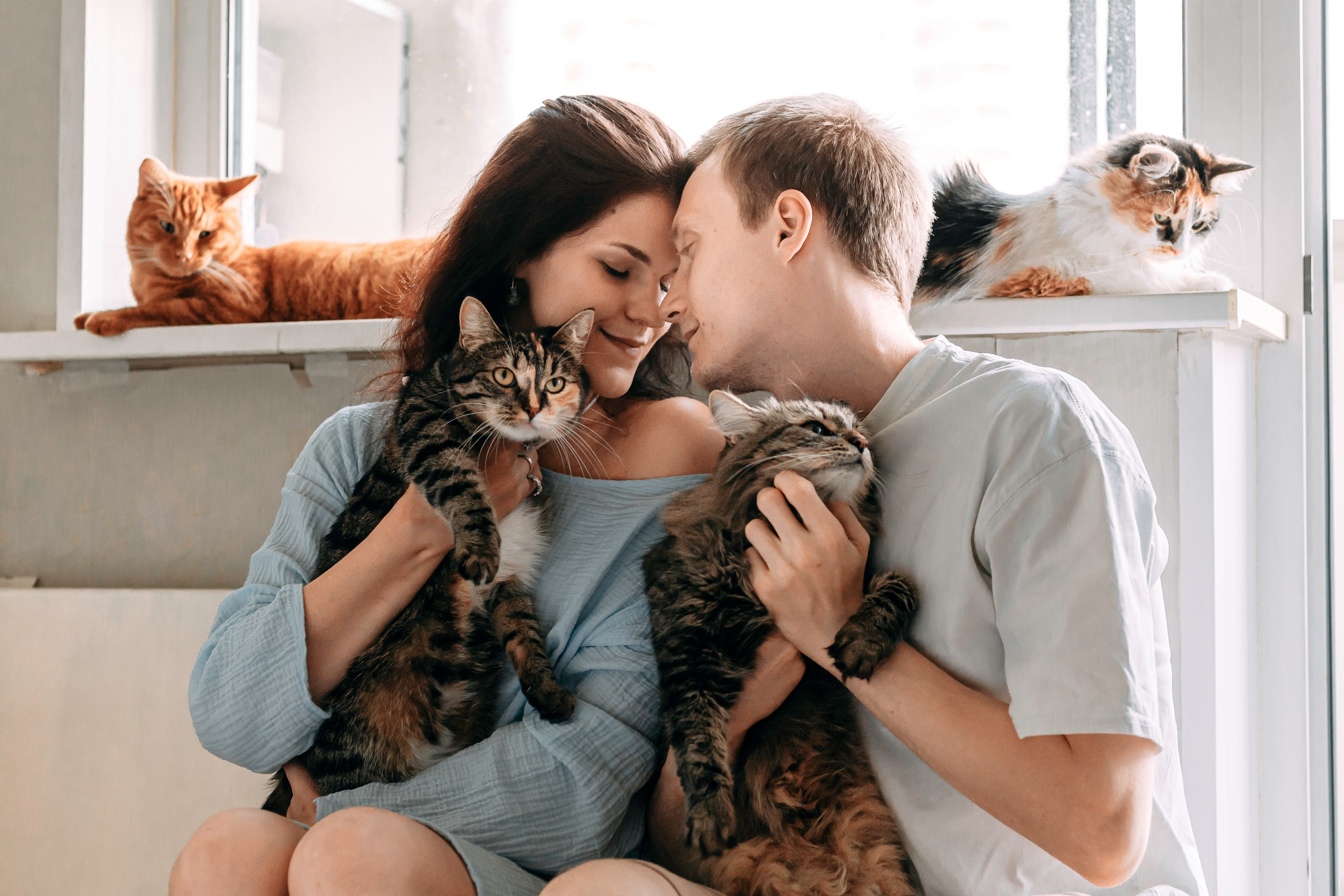 ИРА, САША И 5 КОШЕК