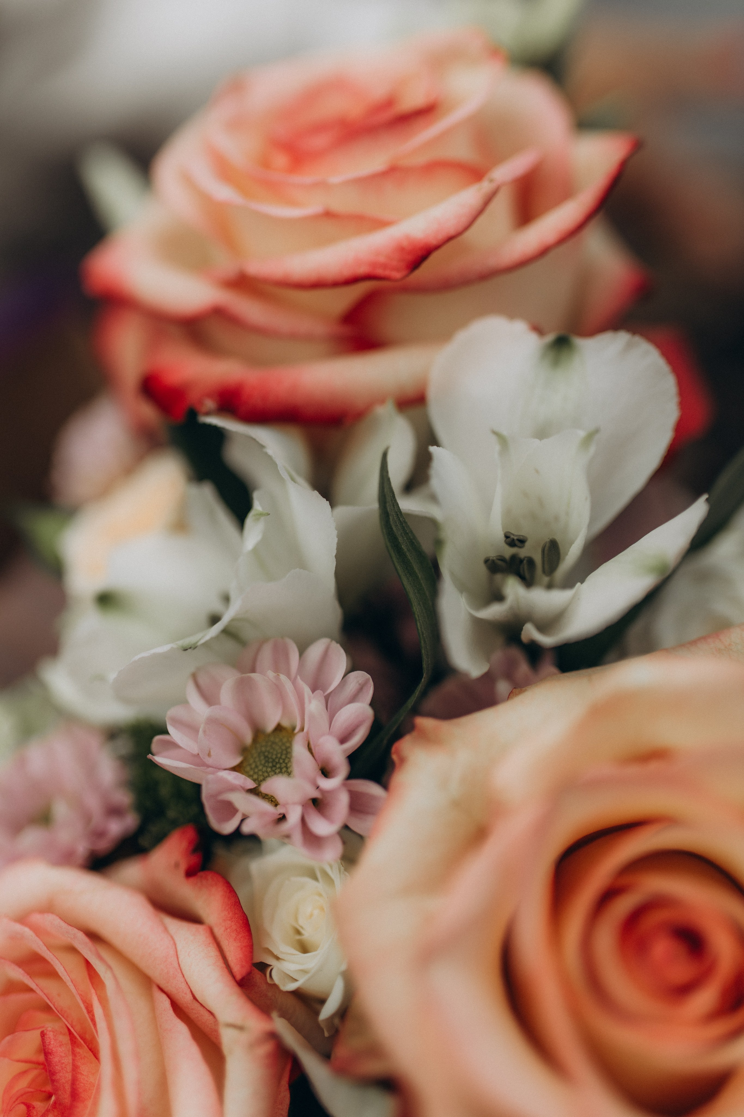 Мария & Иван. Фотограф НОГИНСК, Москва, Анастасия Белая