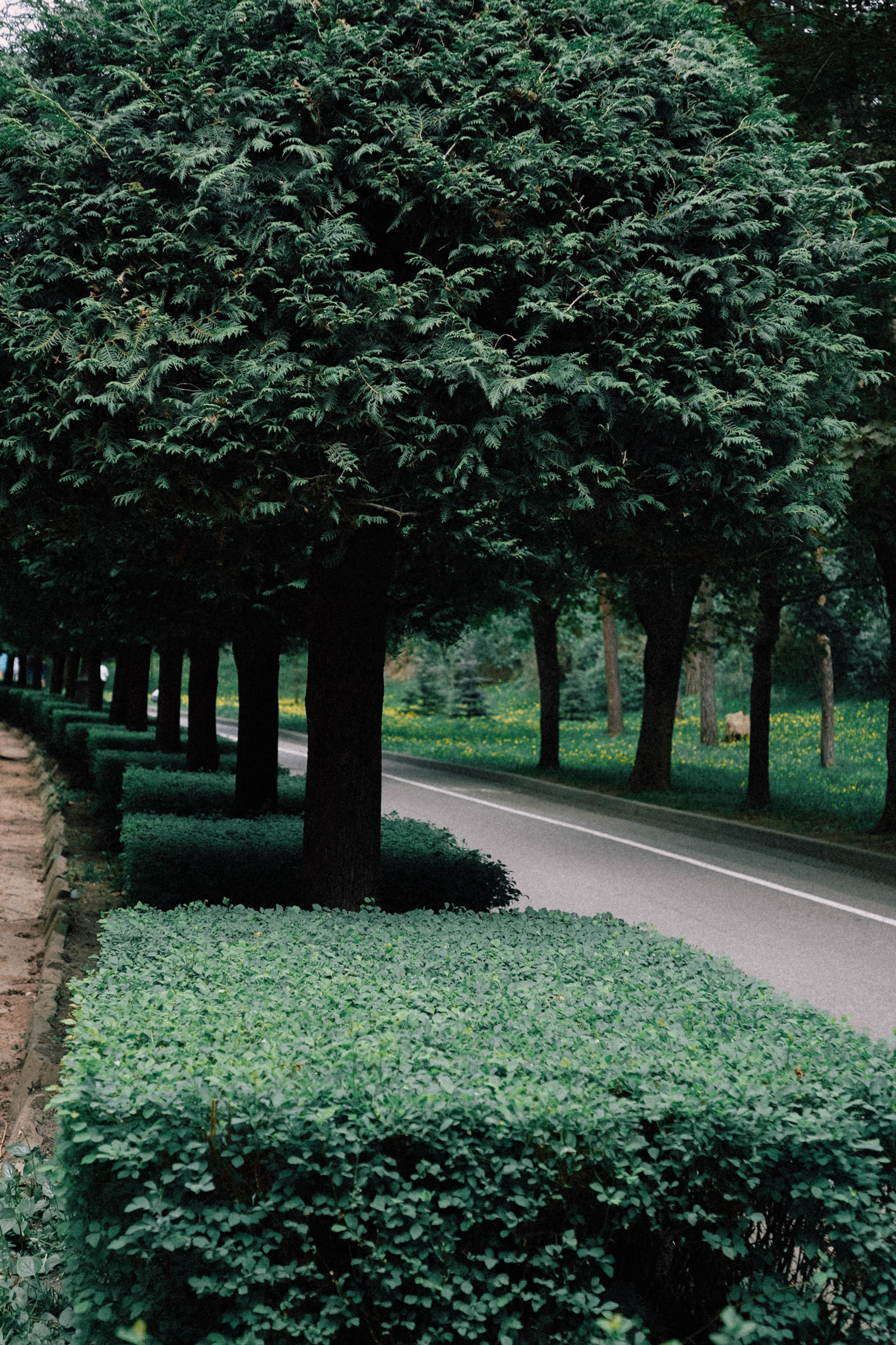 КИСЛОВОДСК. Профессиональный фотограф, Санкт-Петербург — Виктория Богомолова
