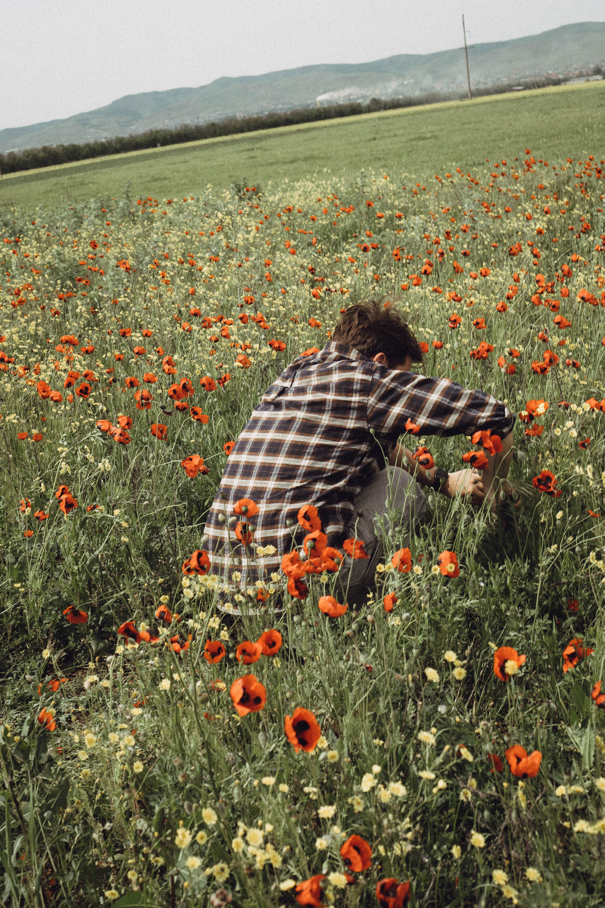 Маки. Профессиональный фотограф, Санкт-Петербург — Виктория Богомолова